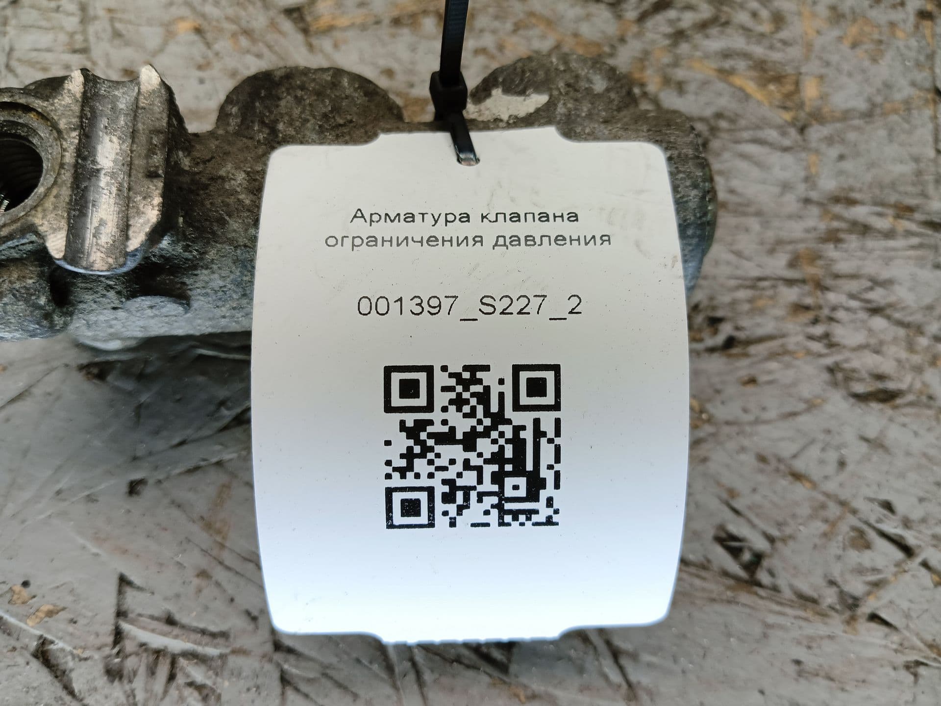 photo-6