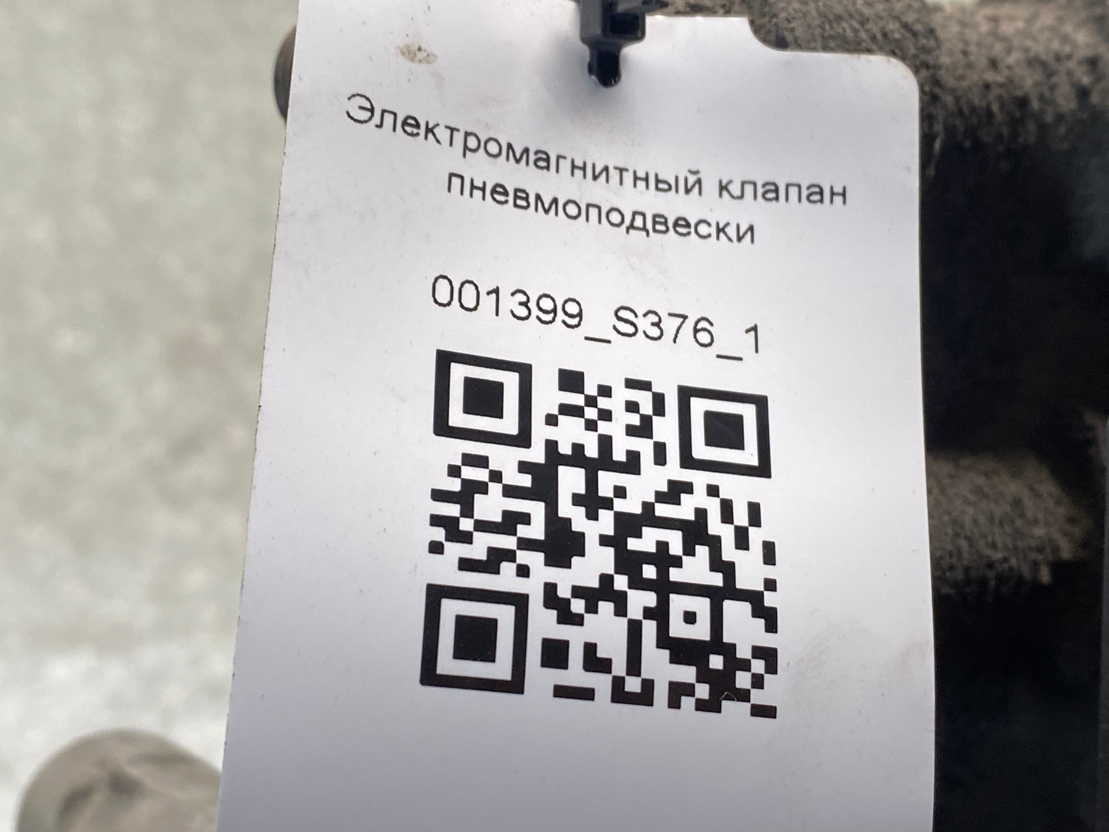 photo-9