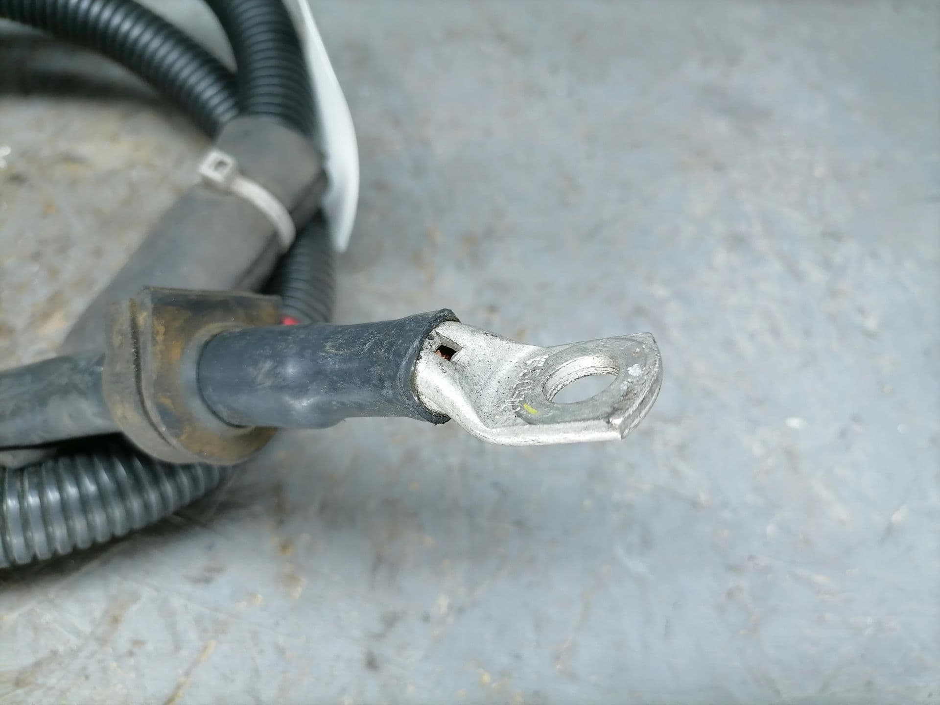 photo-1