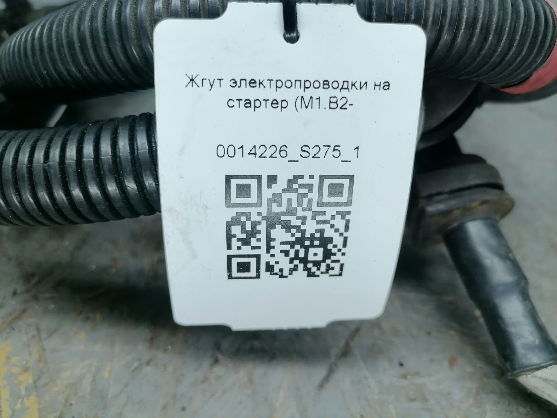 photo-4