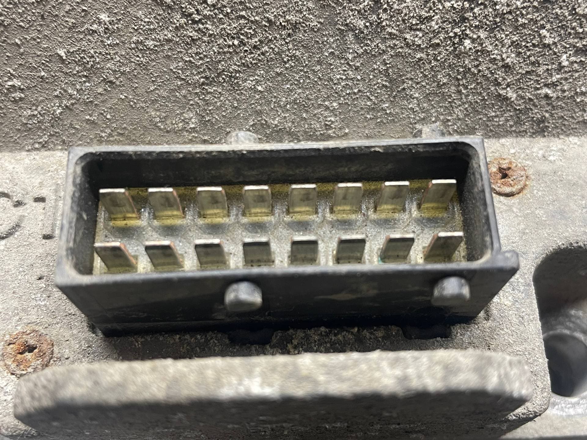 photo-2