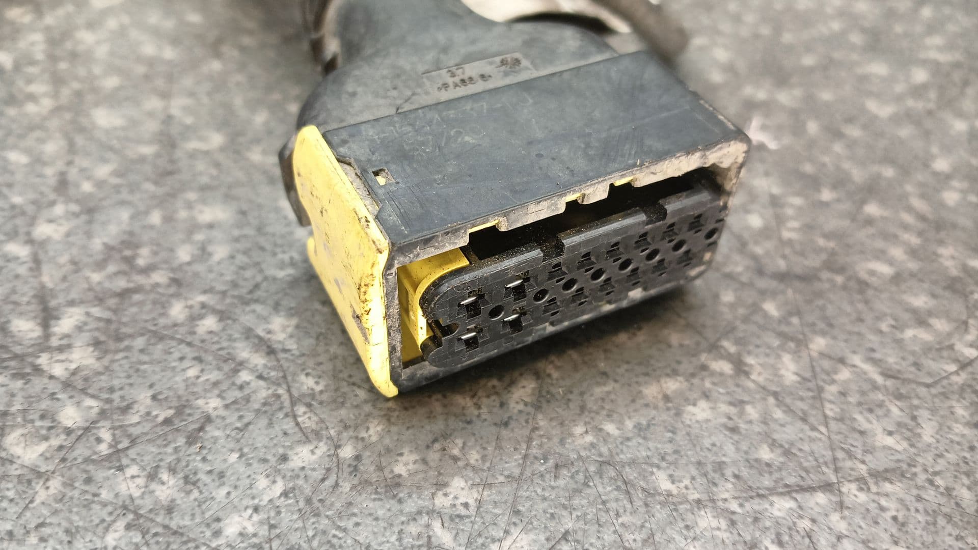 photo-1