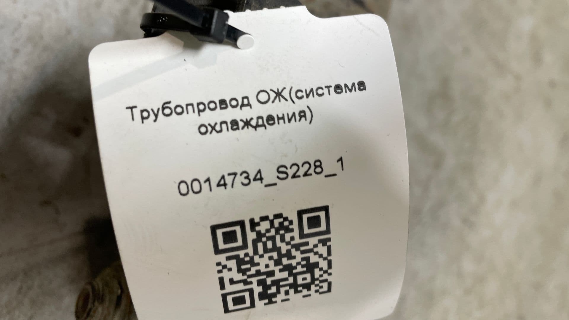 photo-2