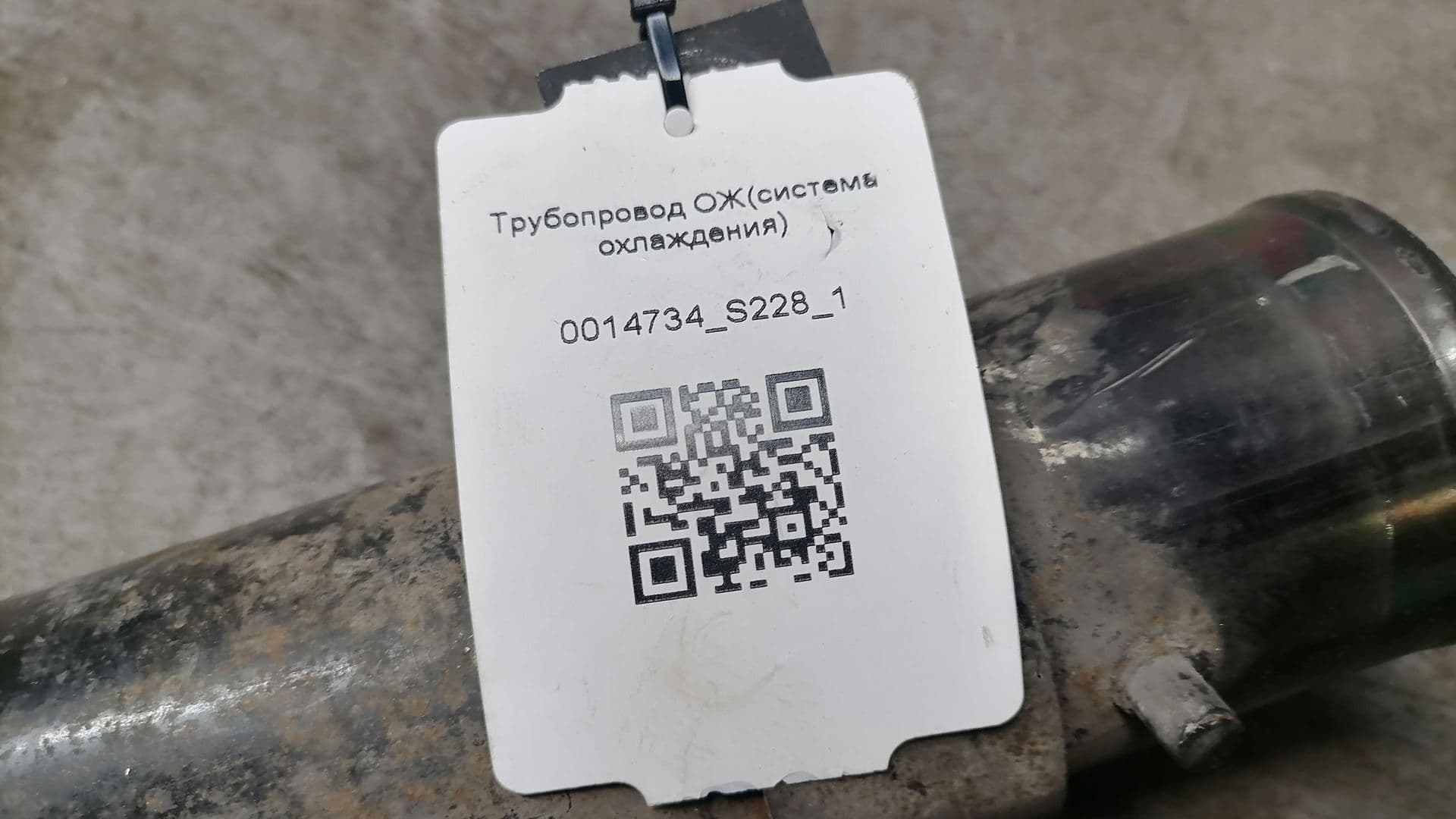 photo-5