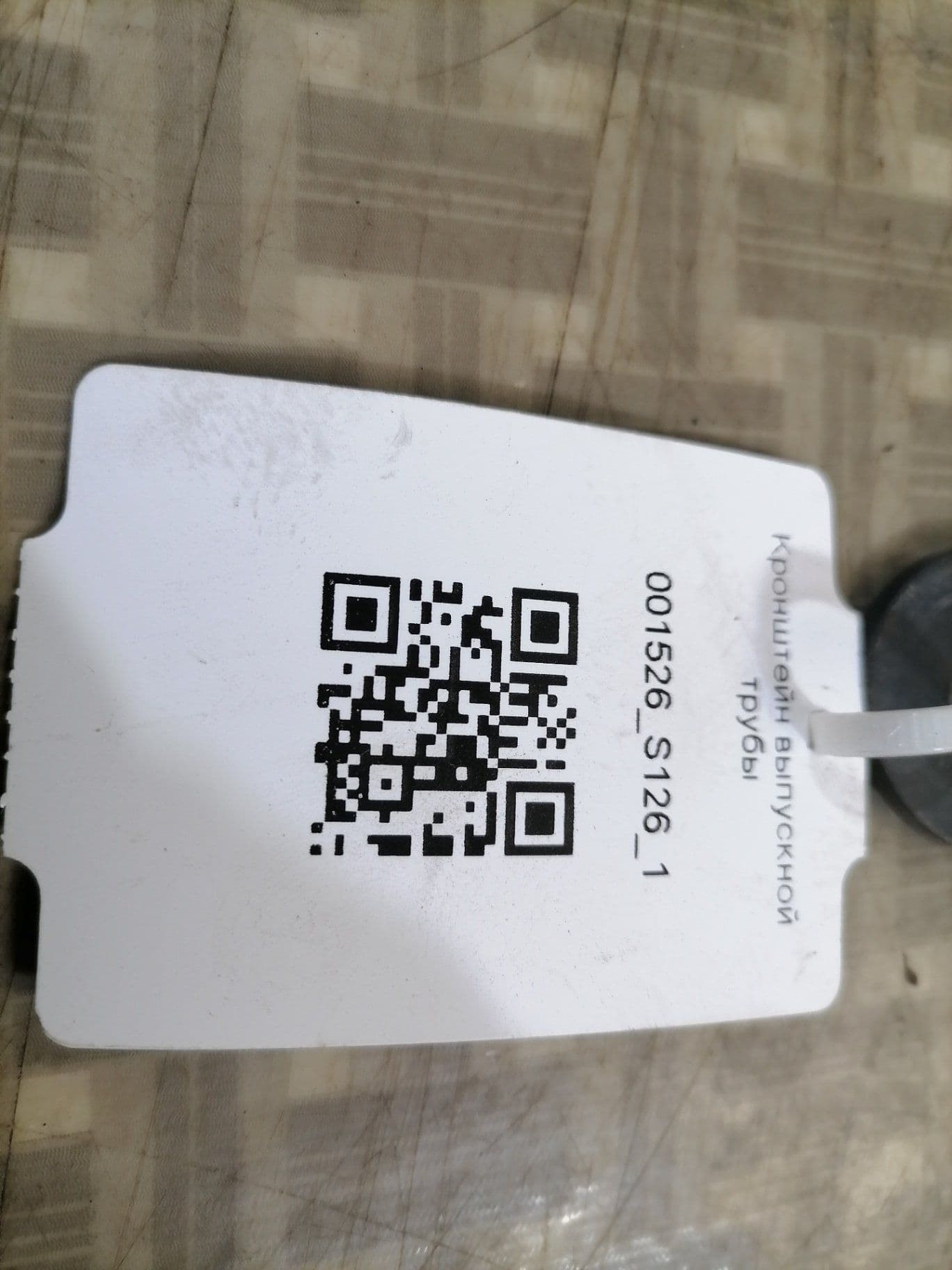 photo-1