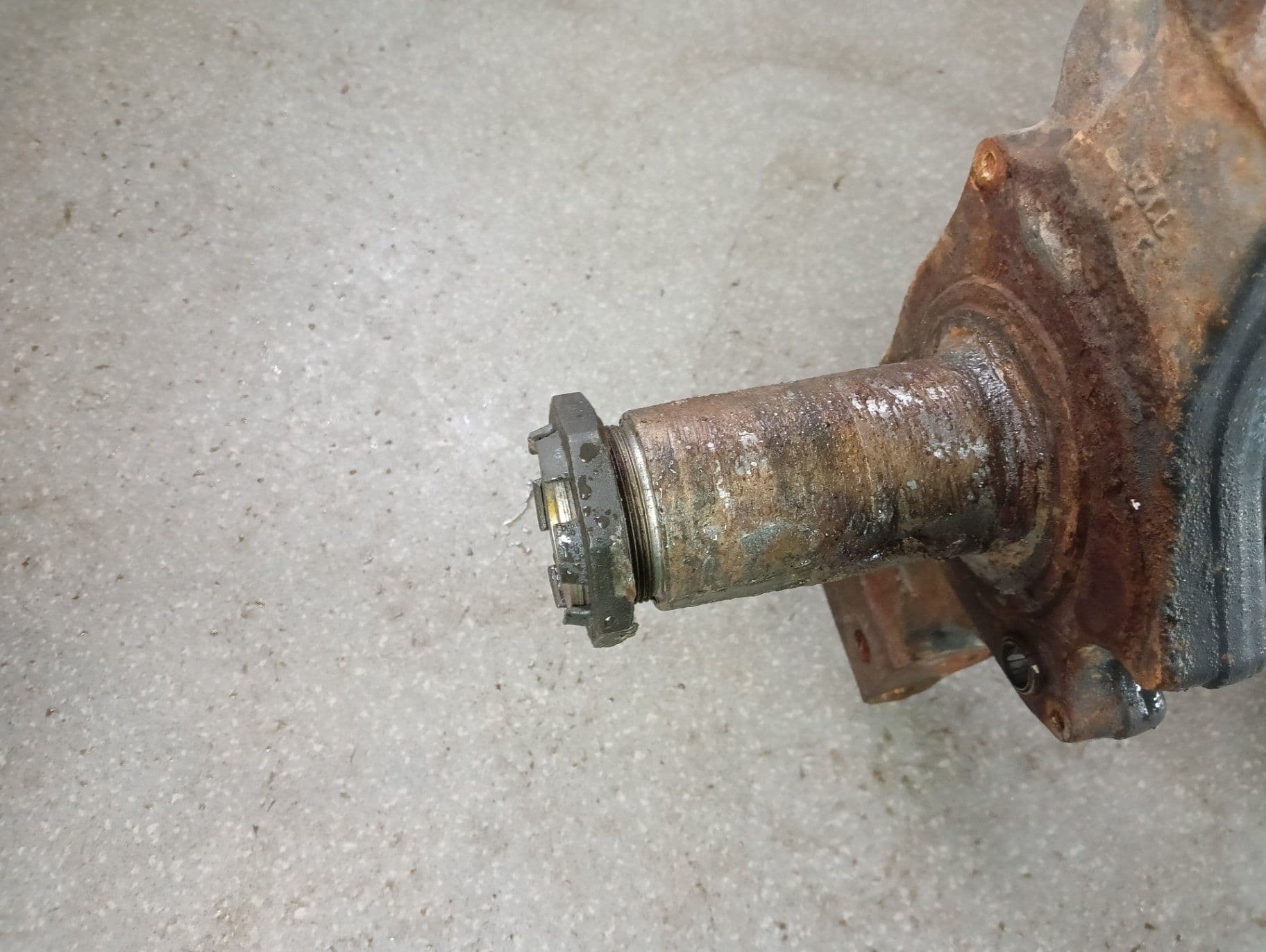 photo-1