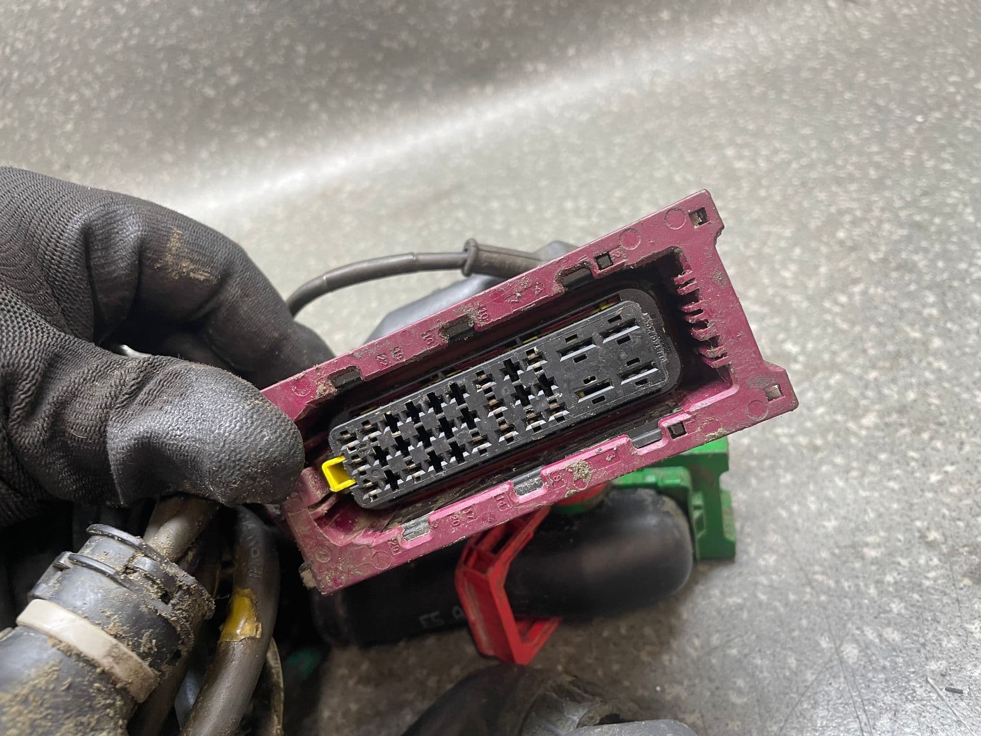 photo-2