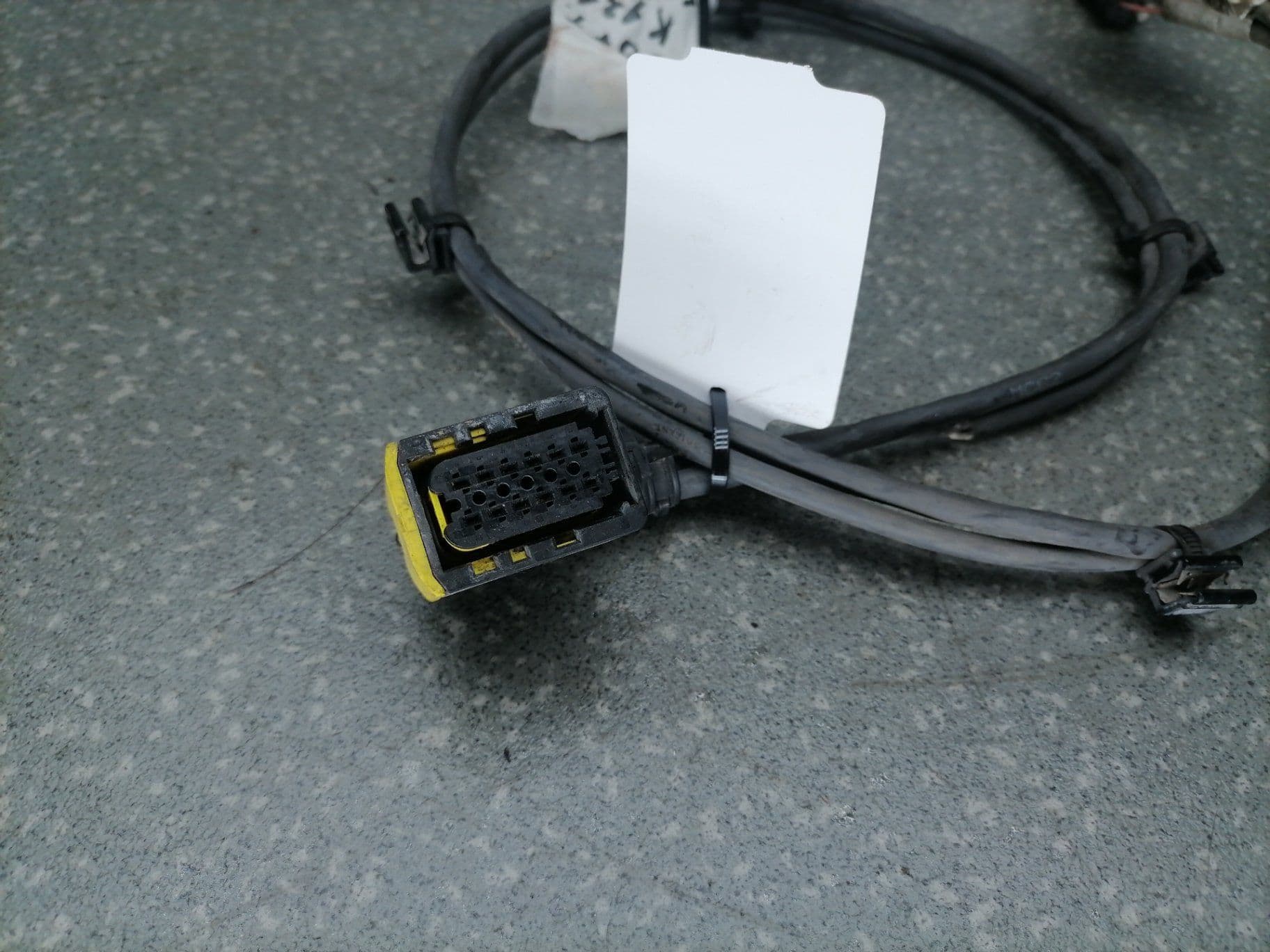 photo-1