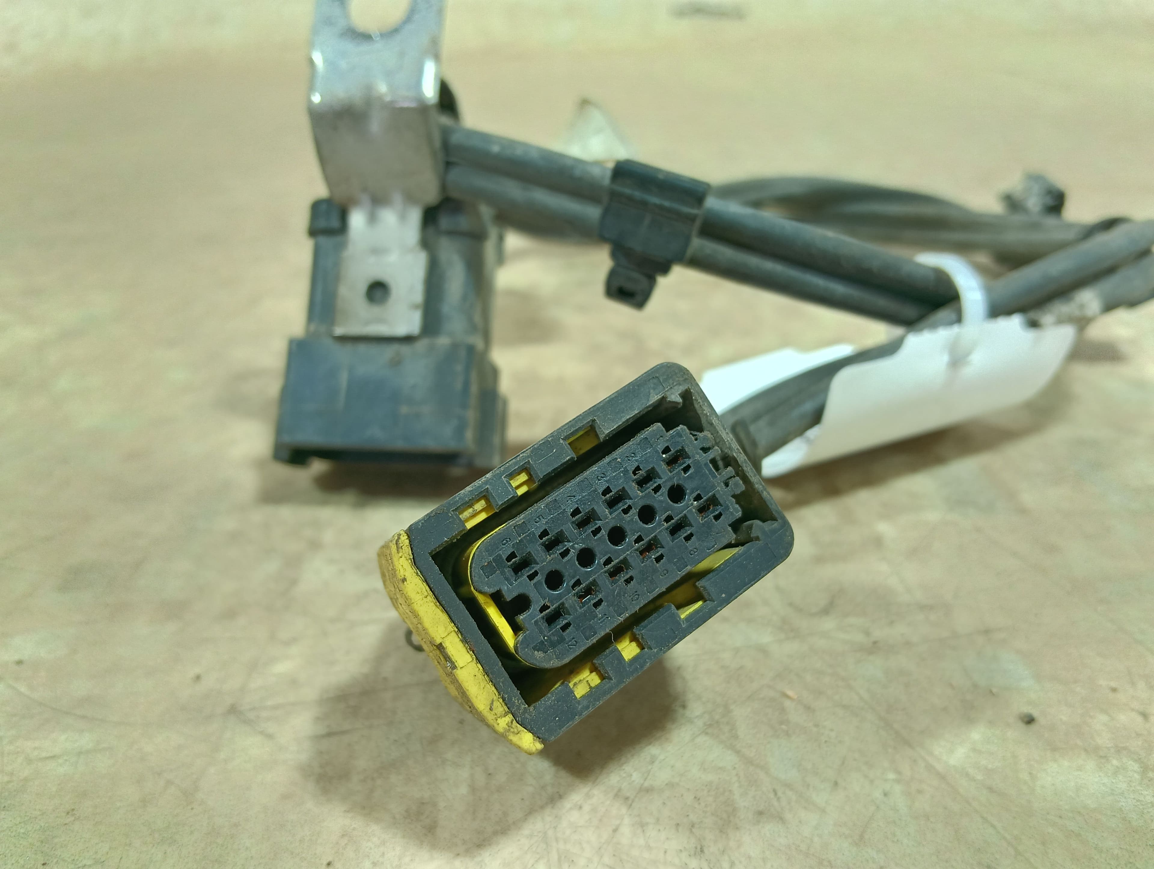 photo-2