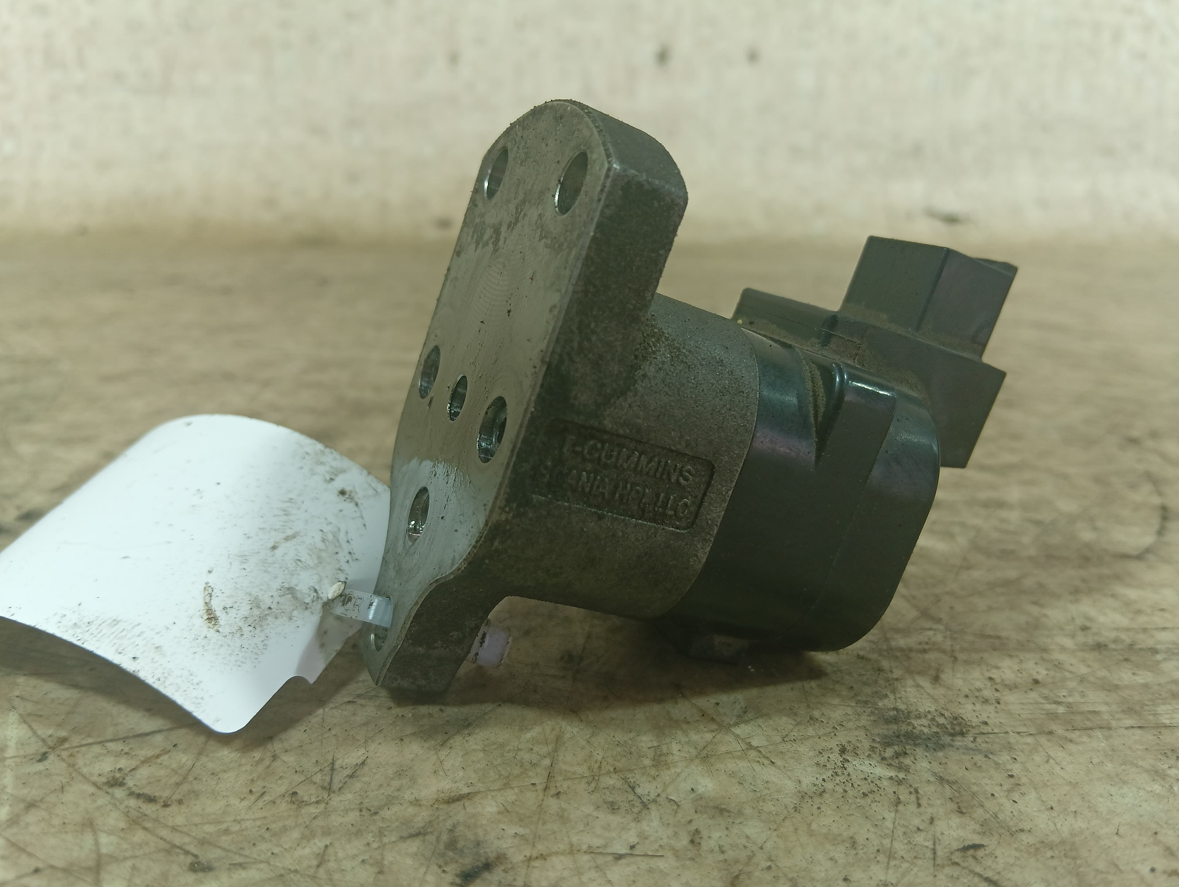 photo-1