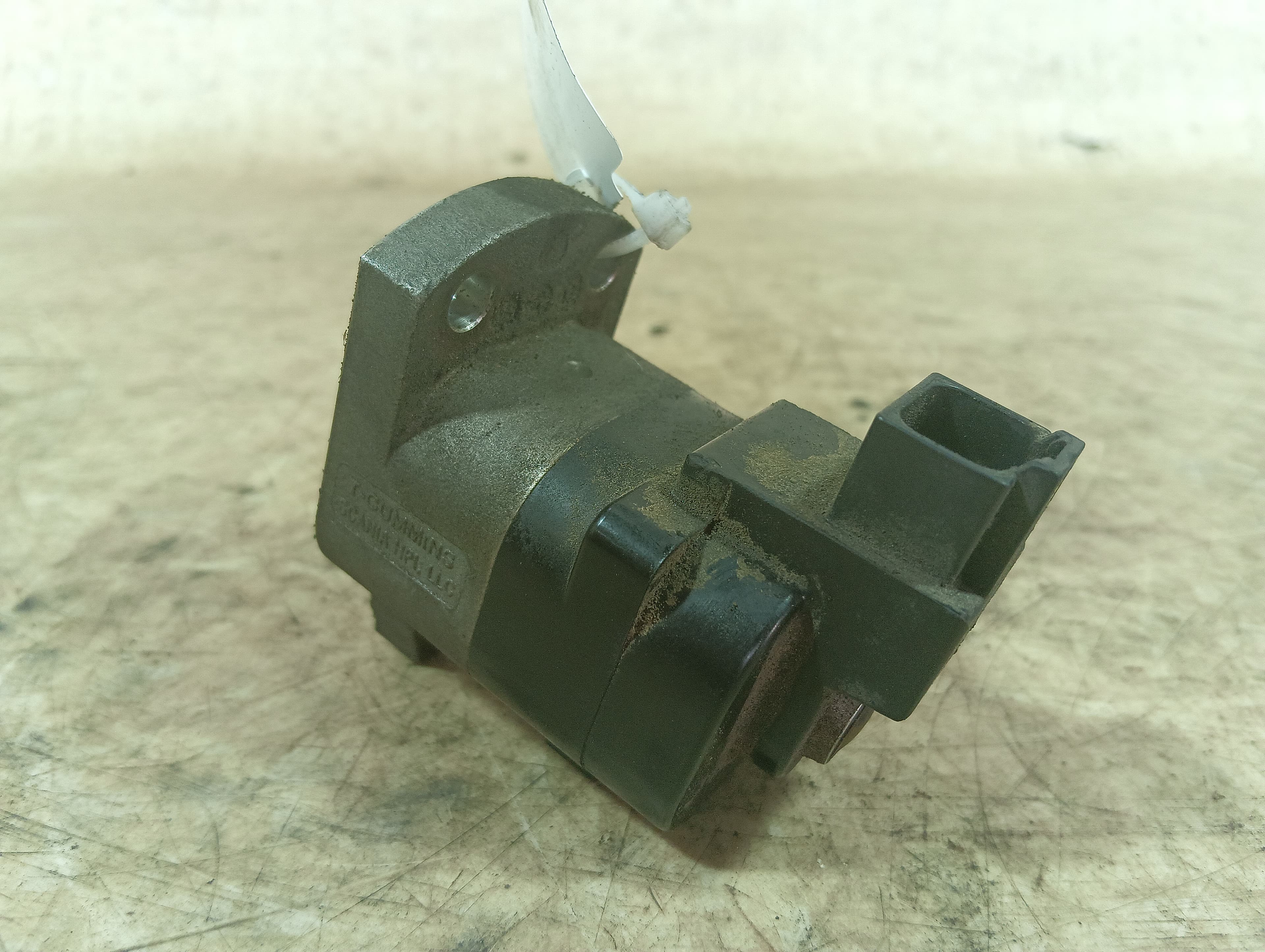 photo-1