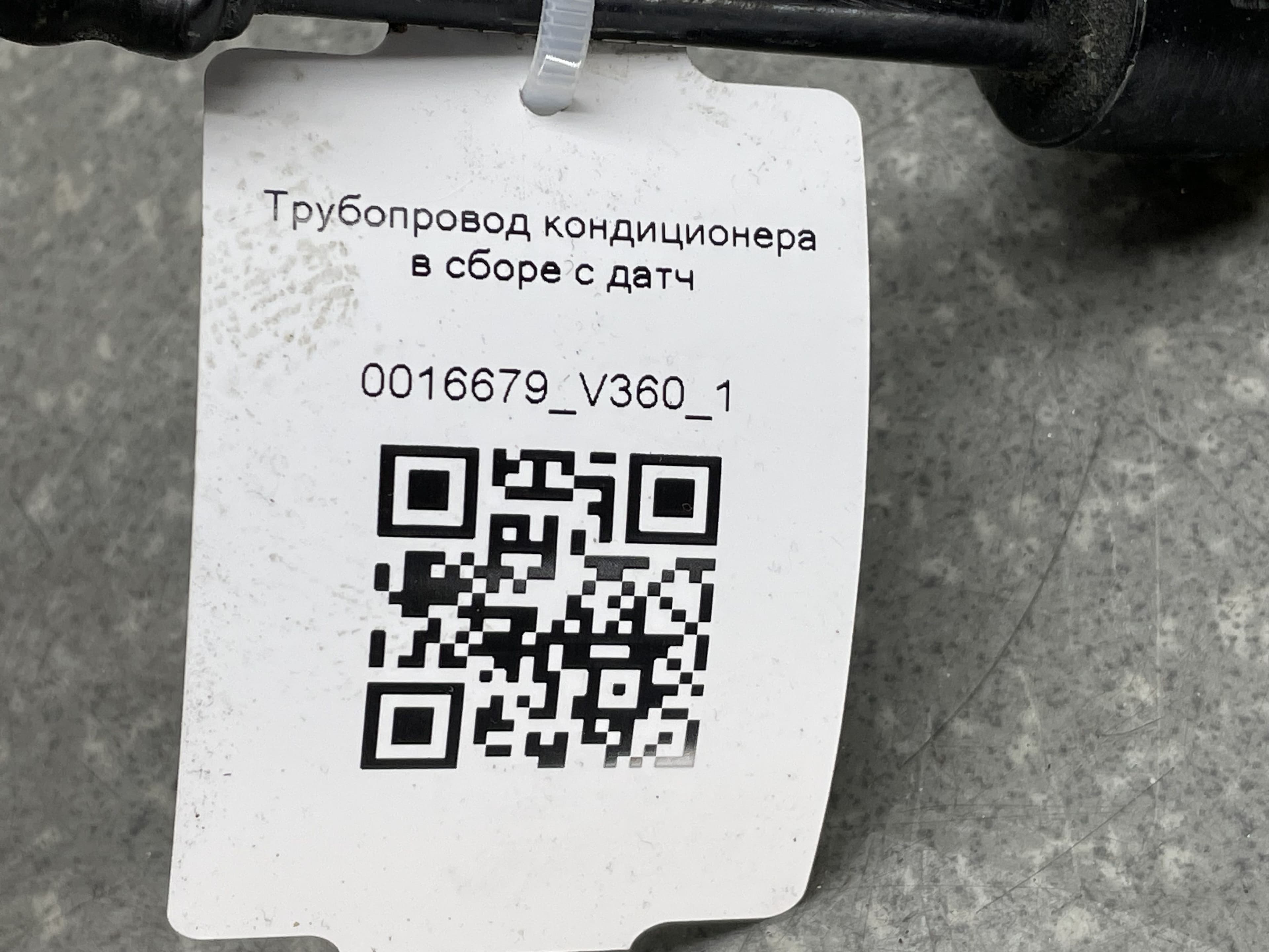 photo-5