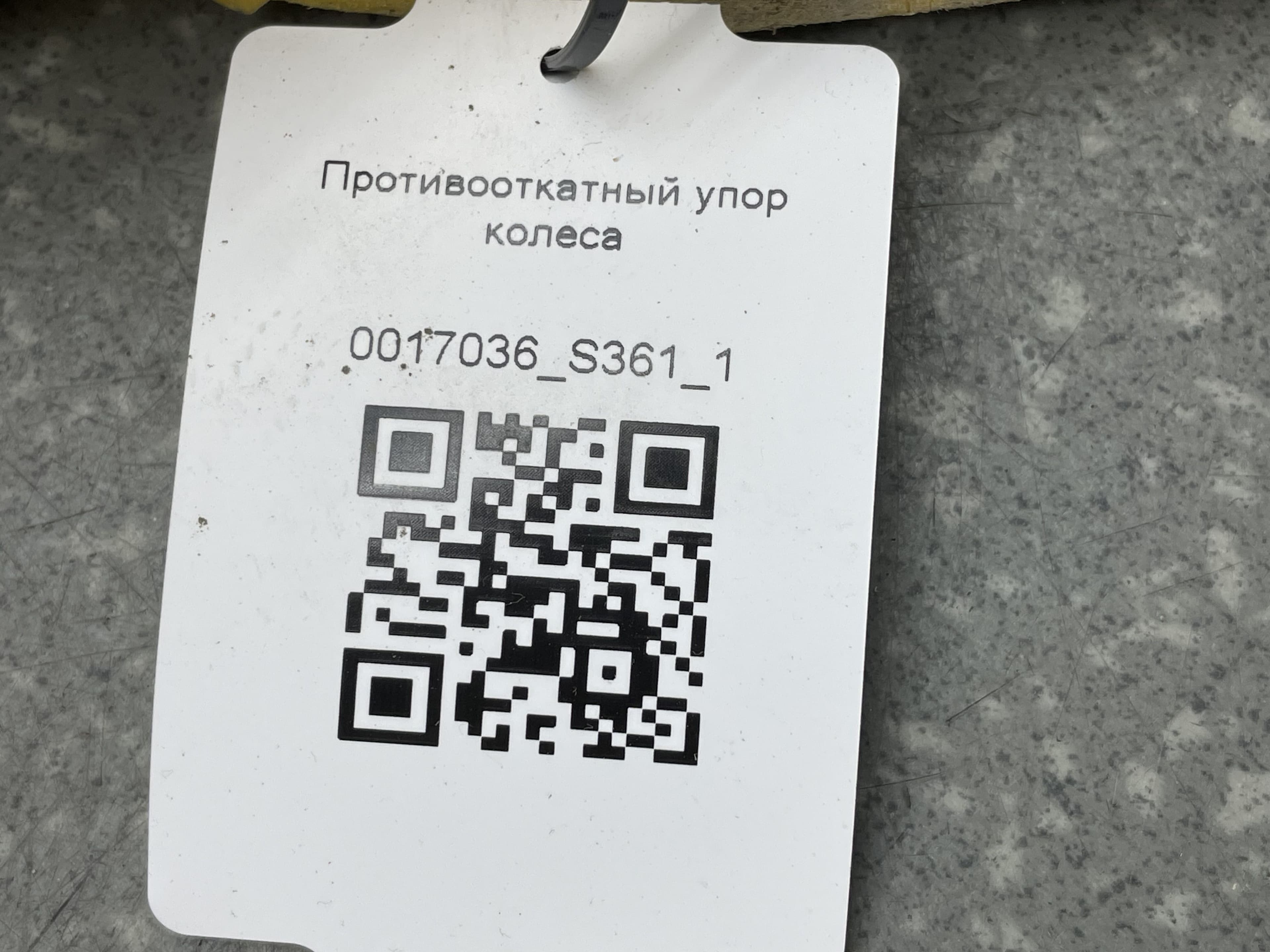 photo-3