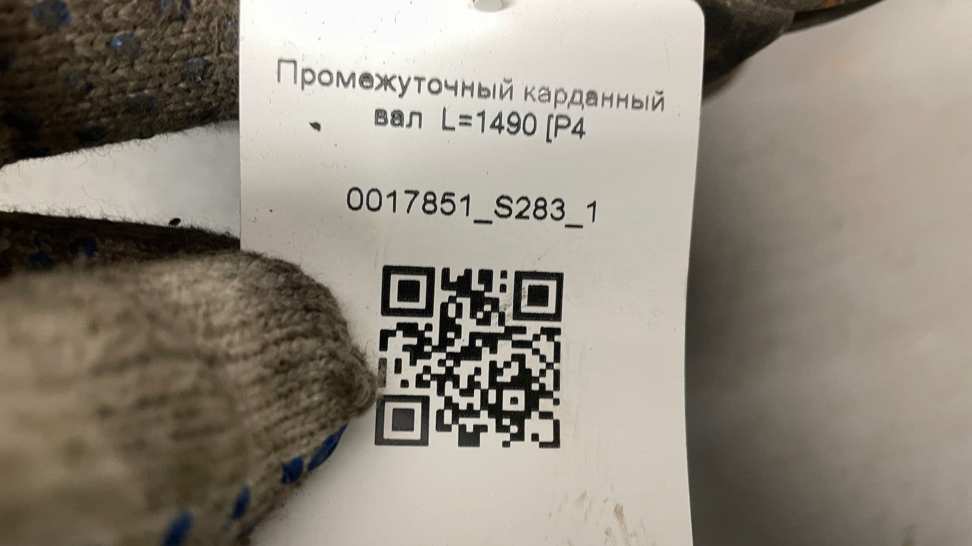 photo-3
