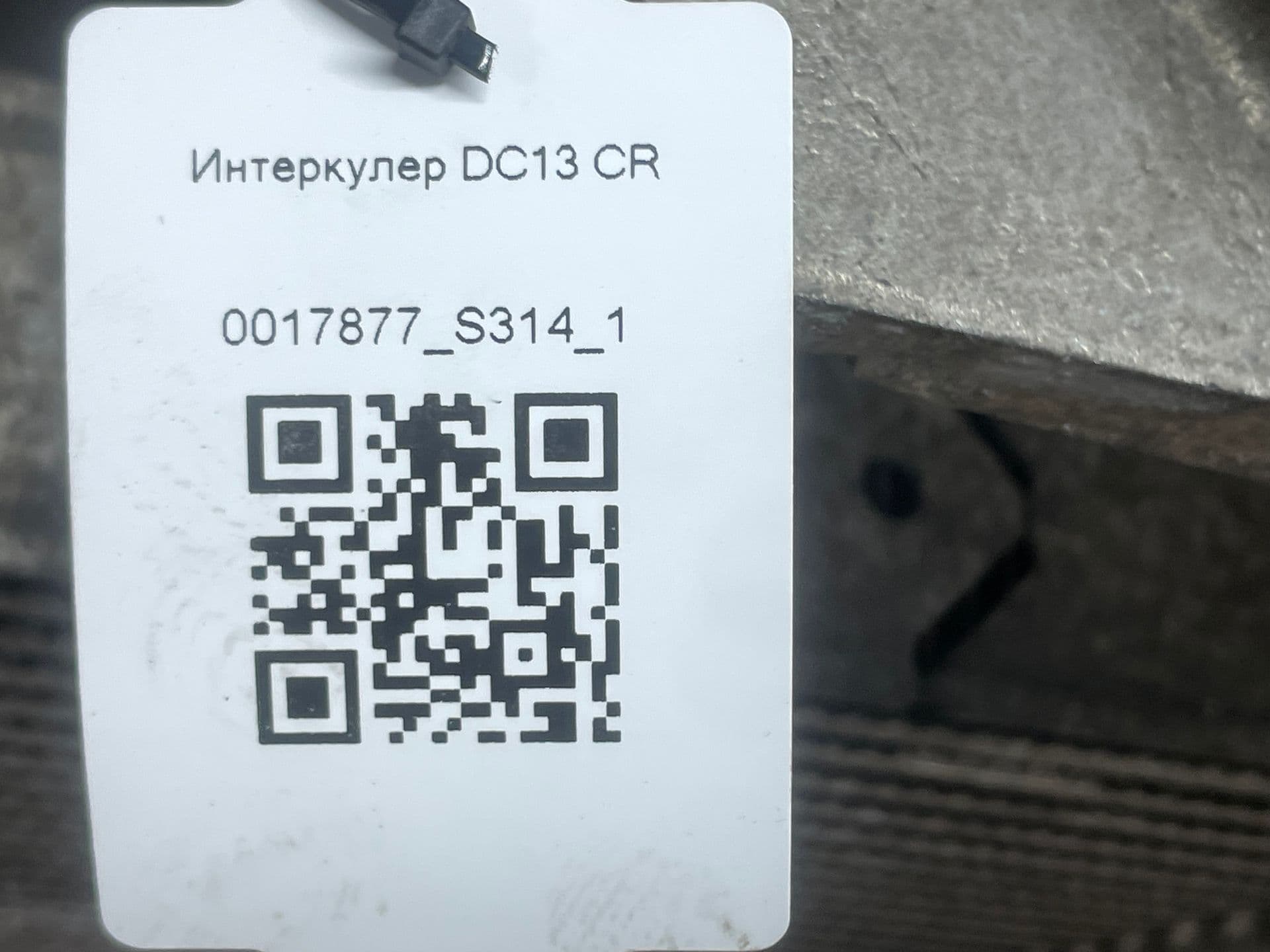 photo-1