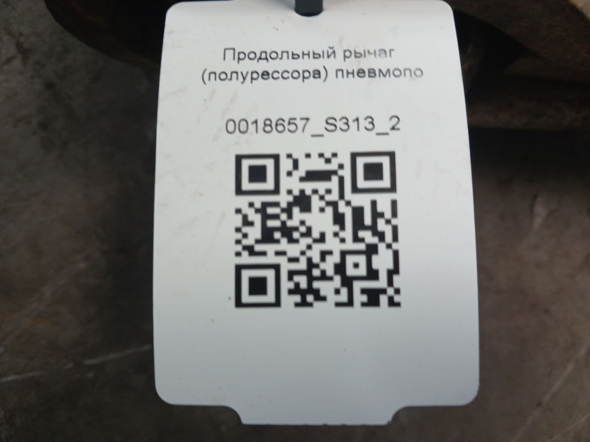 photo-10