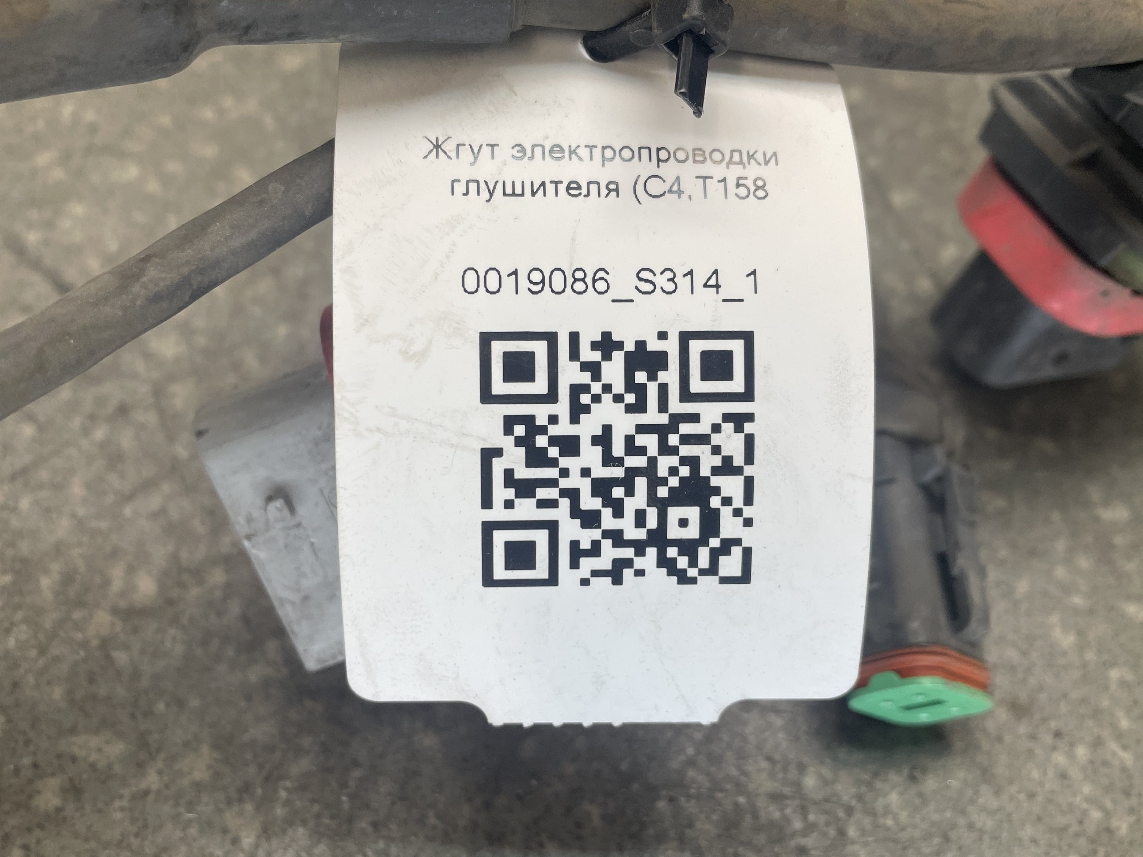 photo-6
