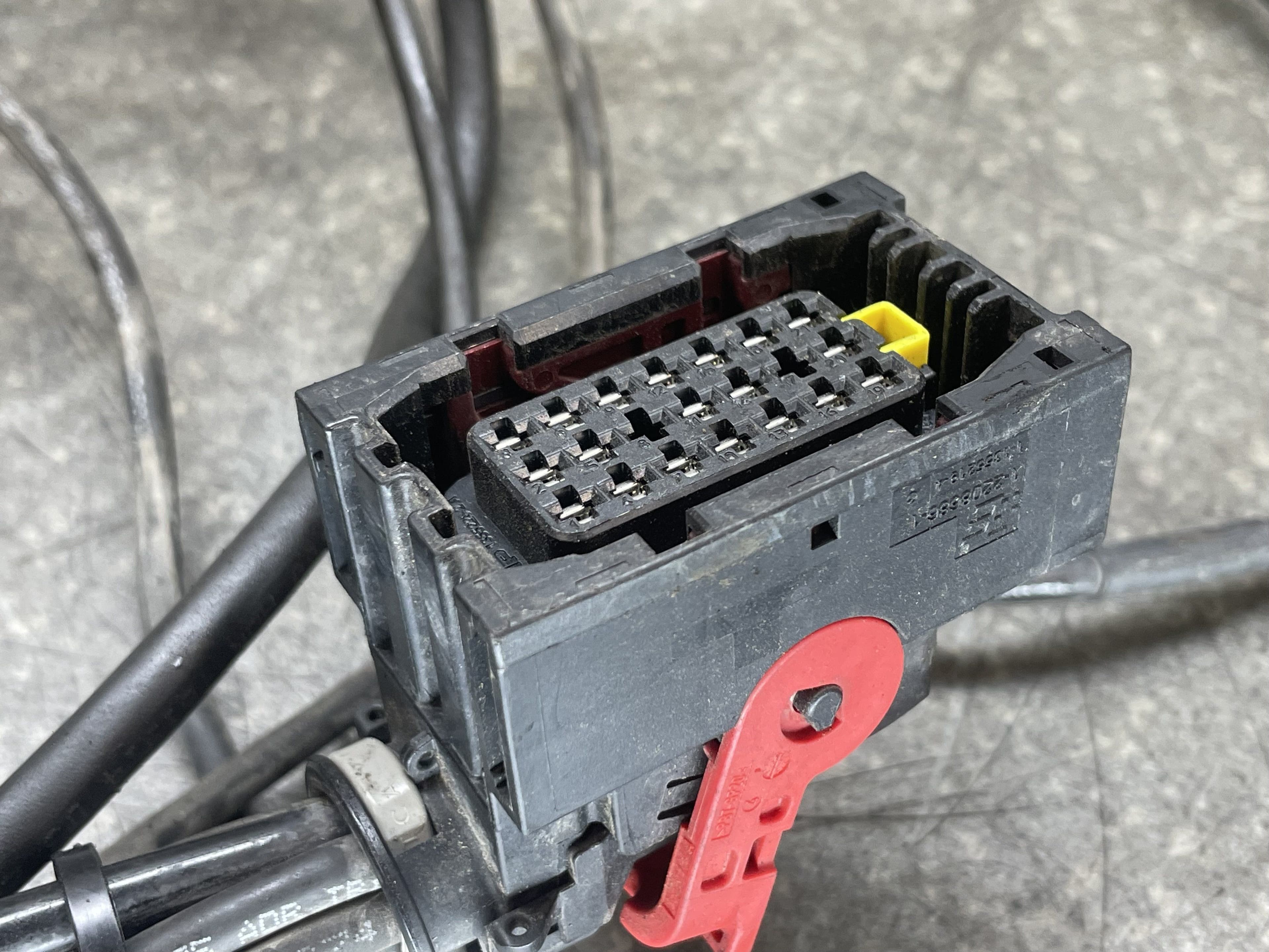 photo-1