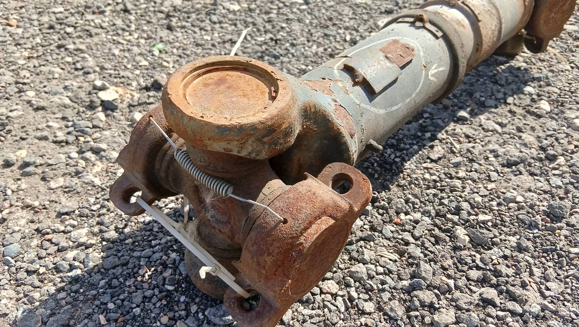 photo-1