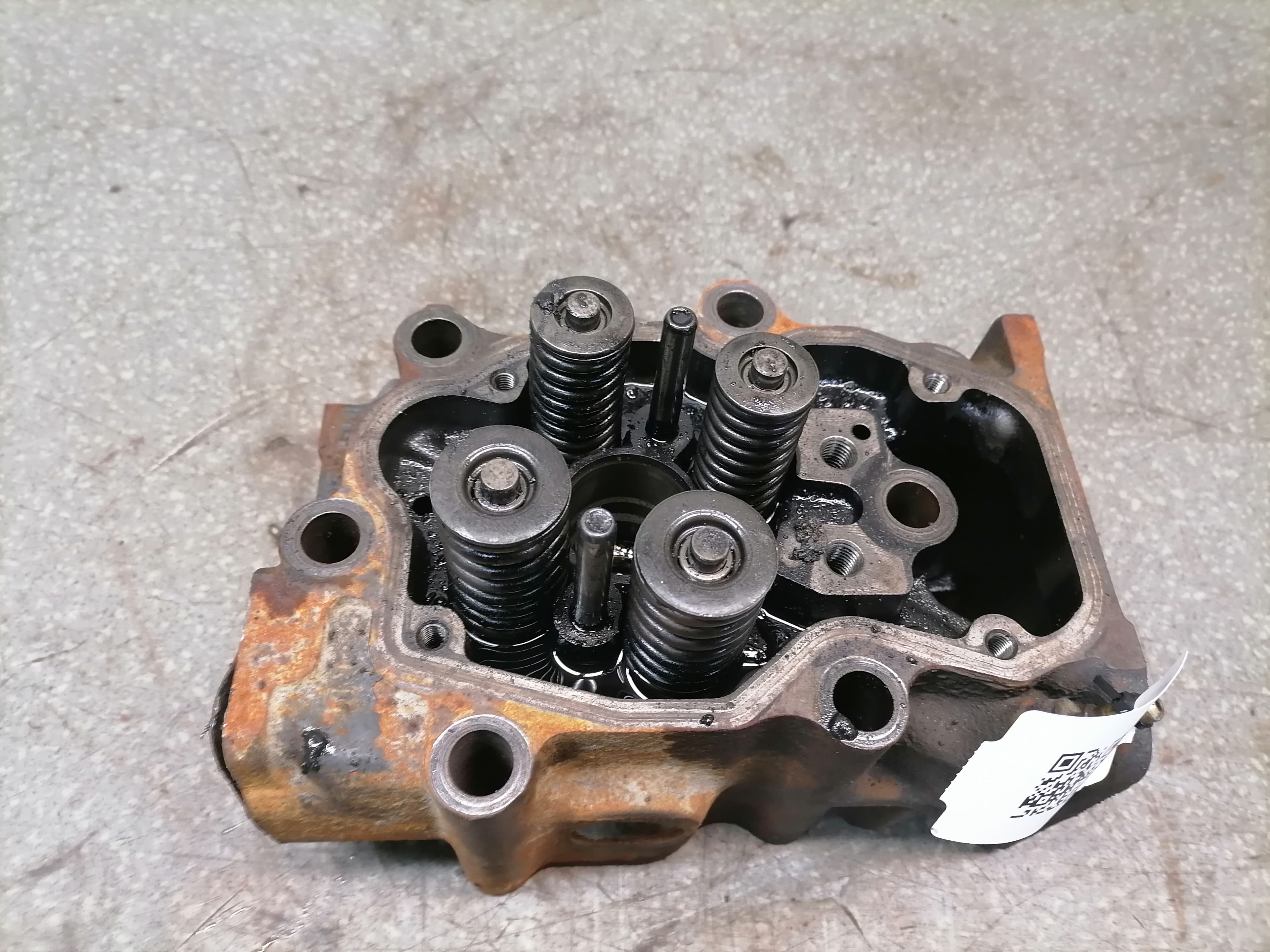 photo-1
