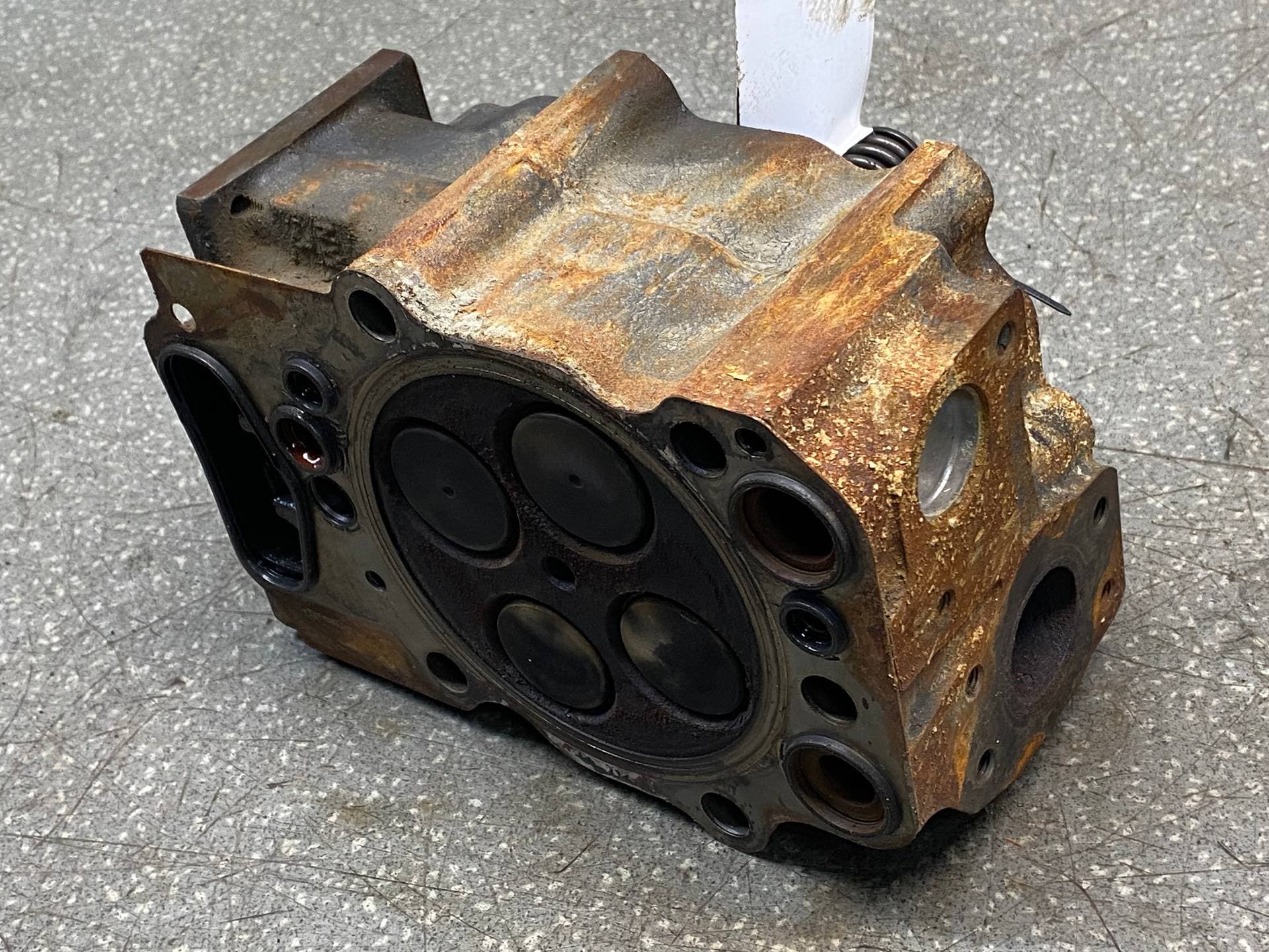 photo-1