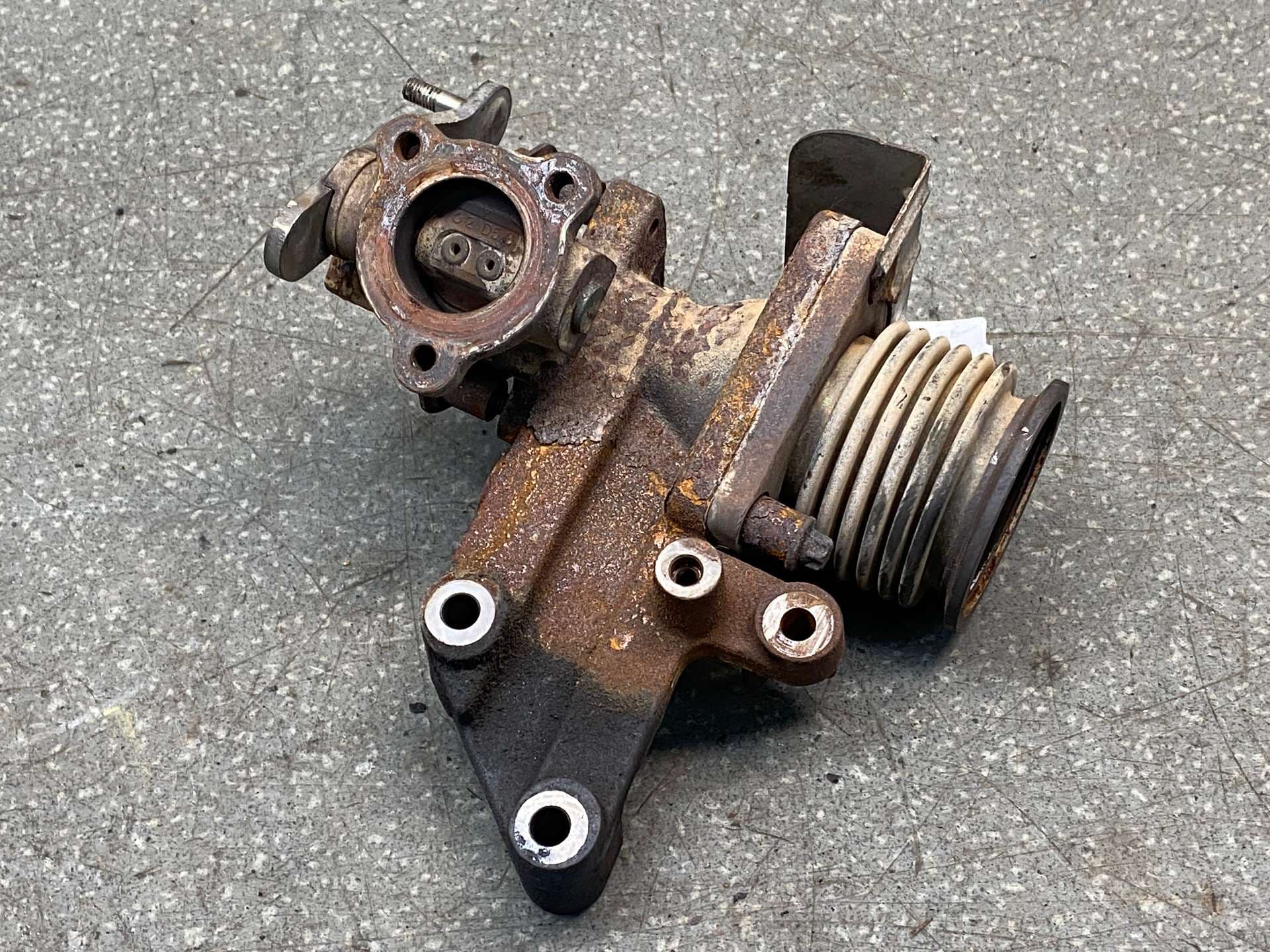 photo-1