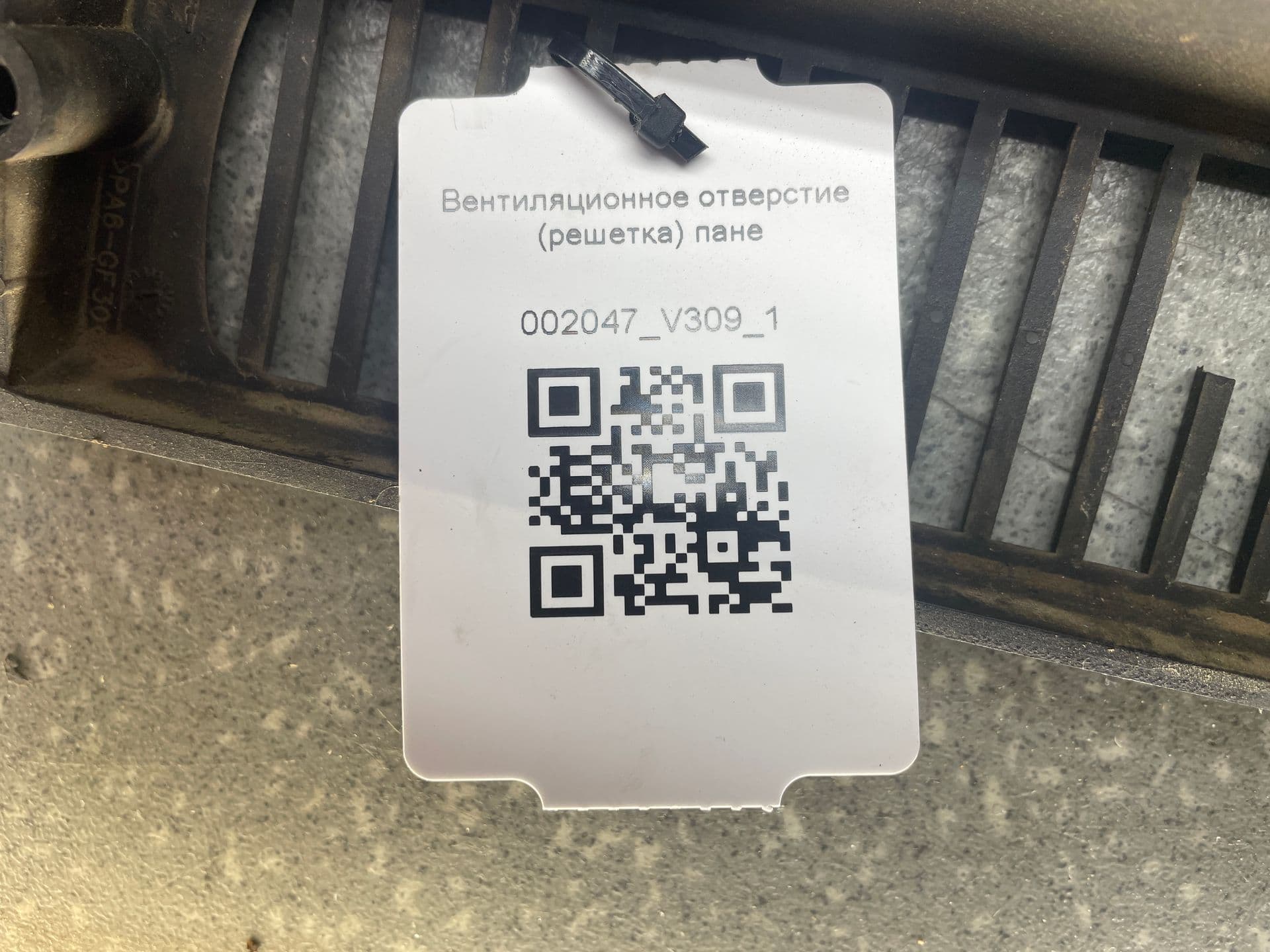 photo-5