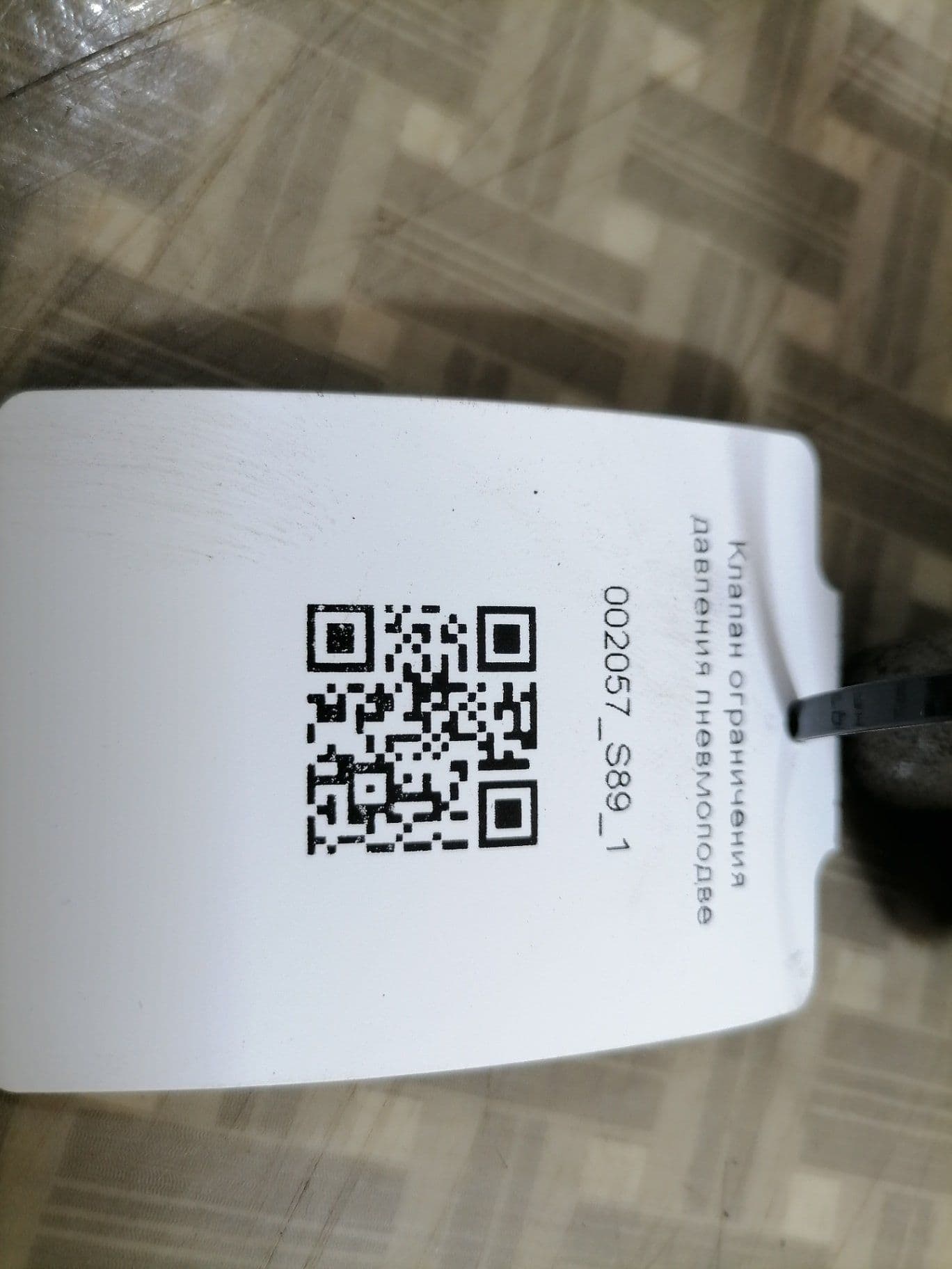 photo-1