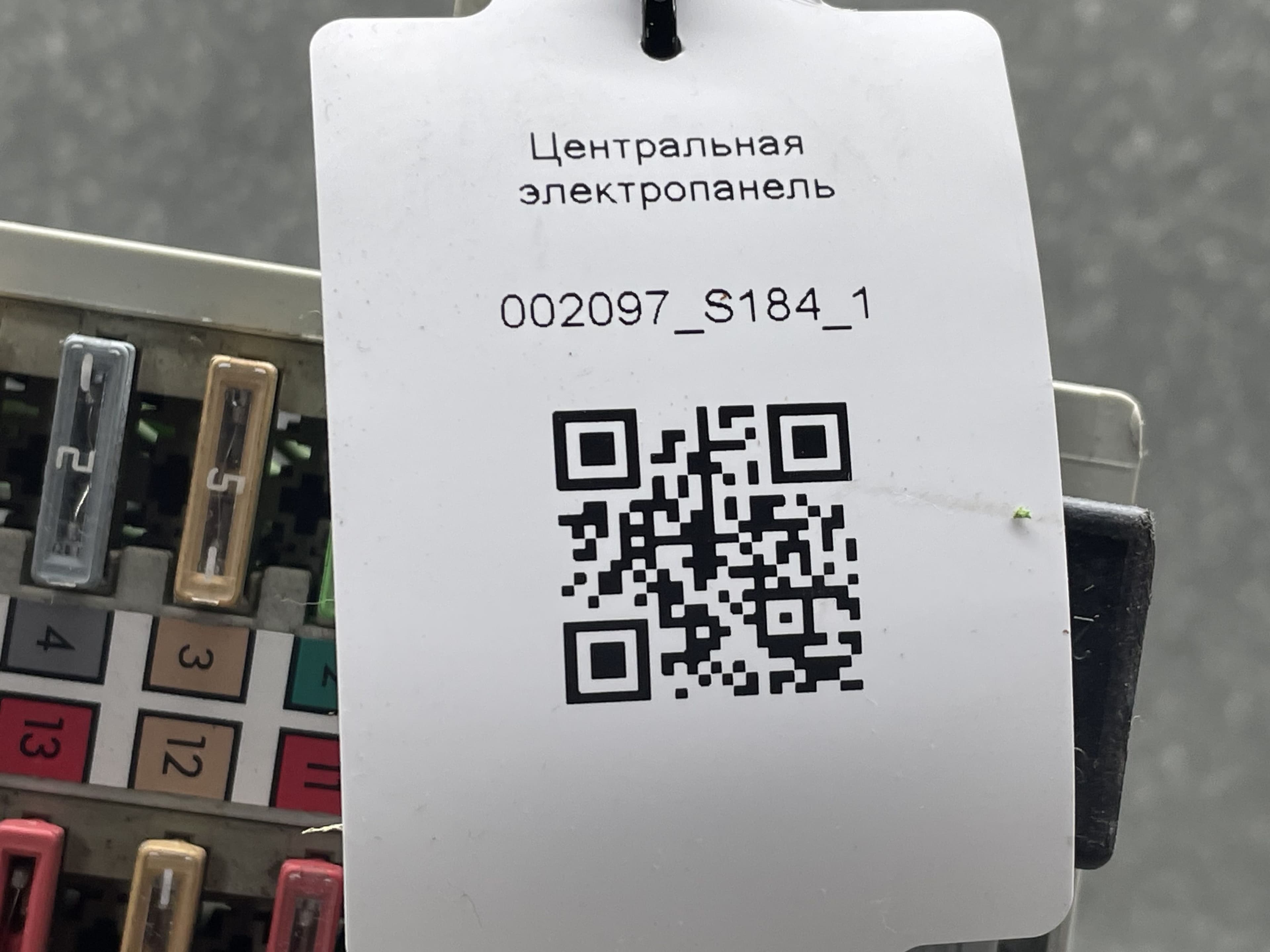 photo-3