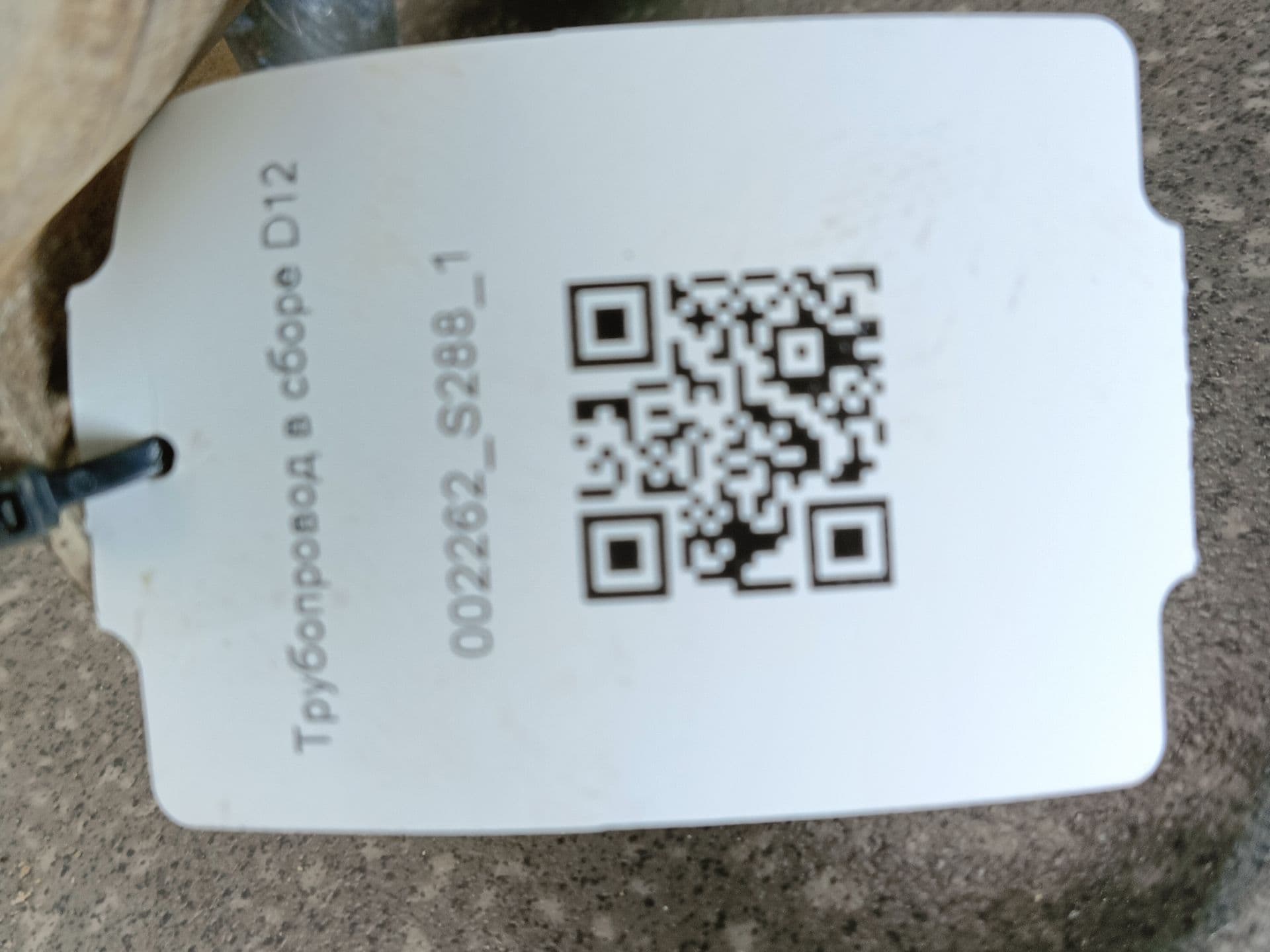 photo-10