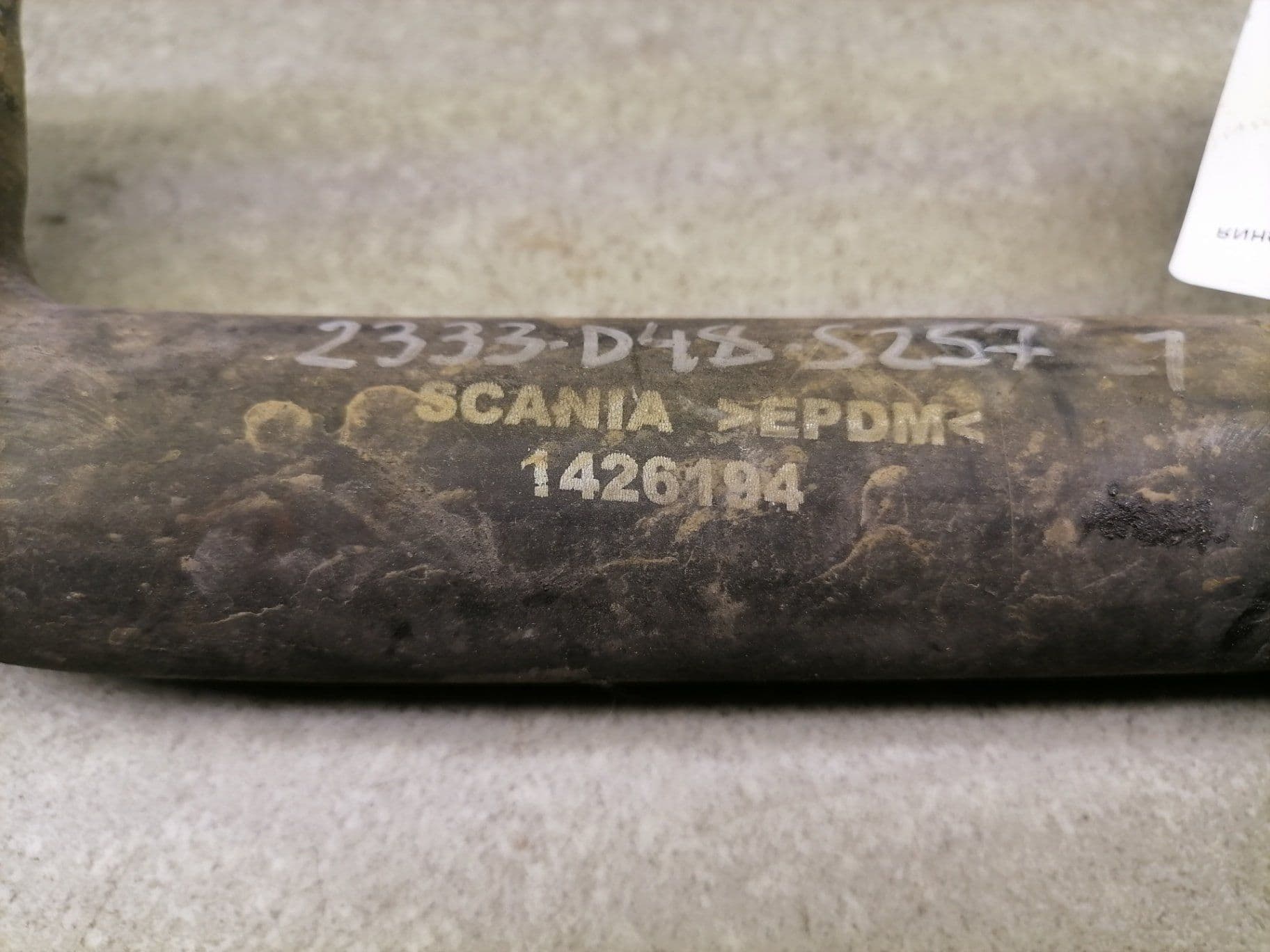 photo-1