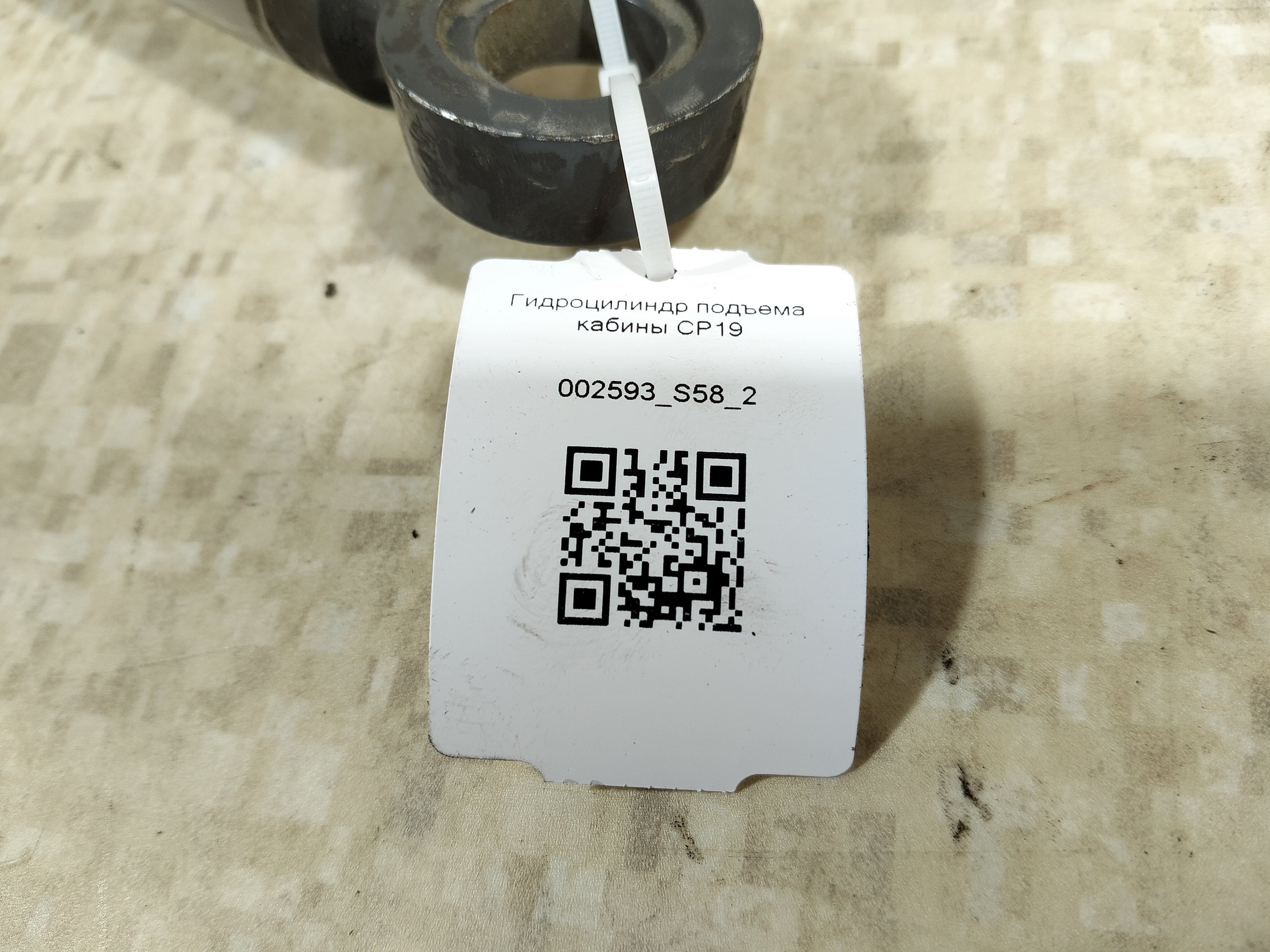 photo-1