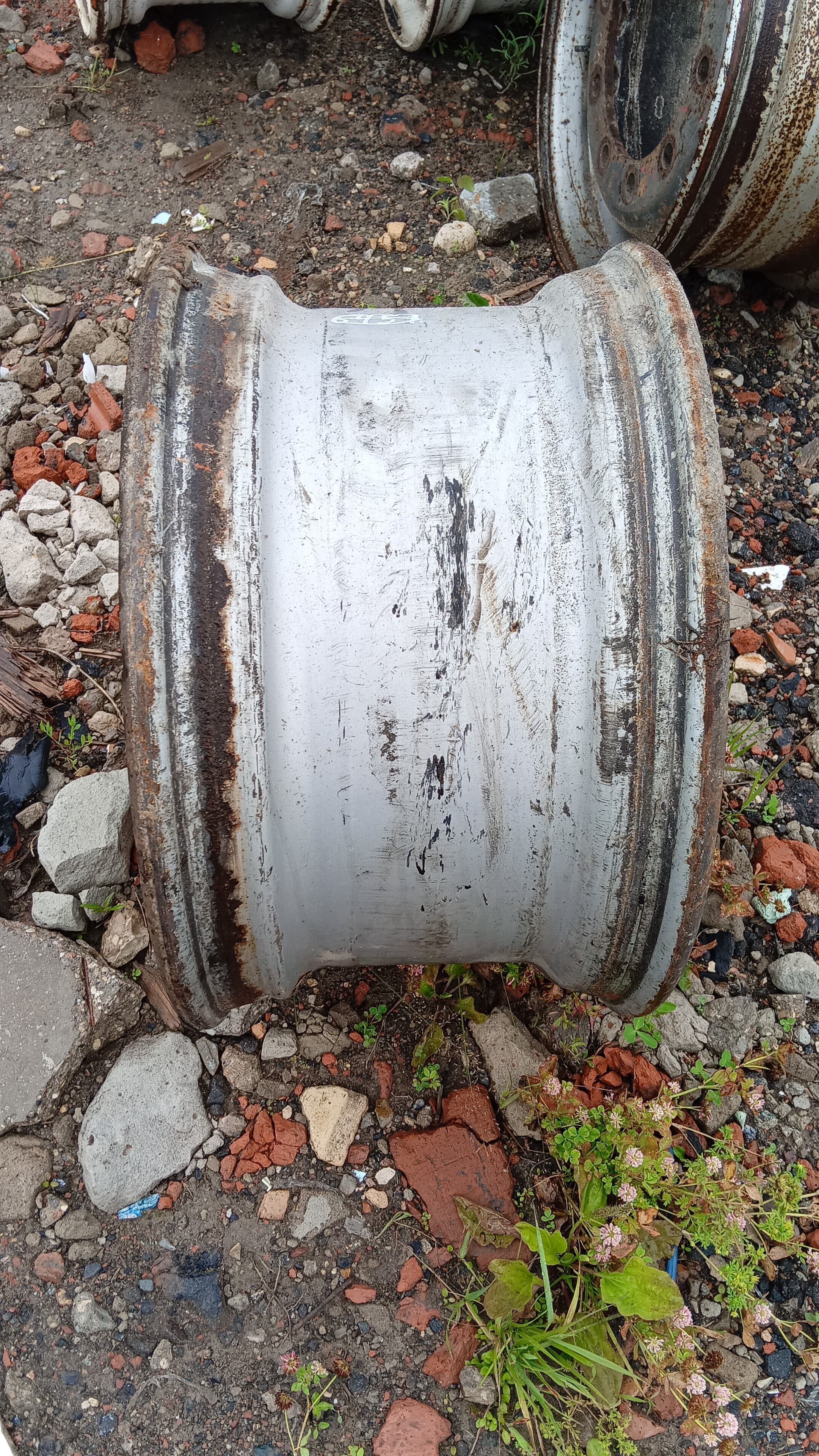 photo-1