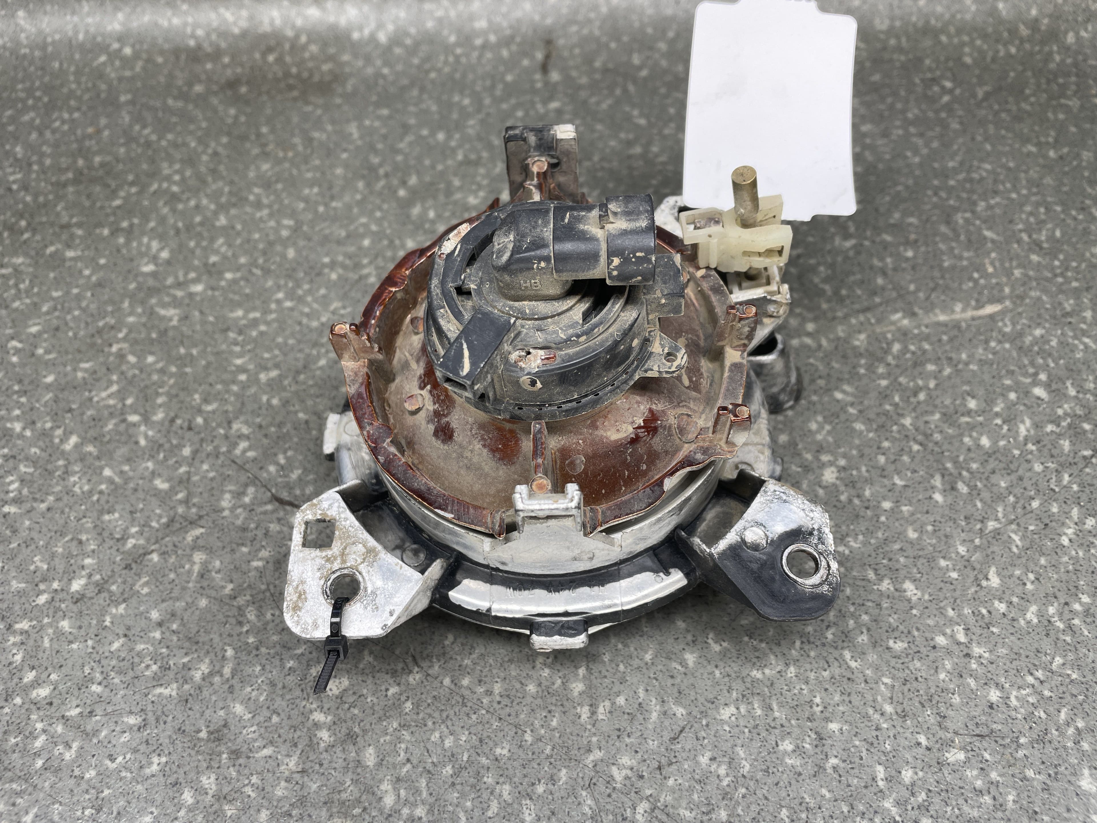photo-1