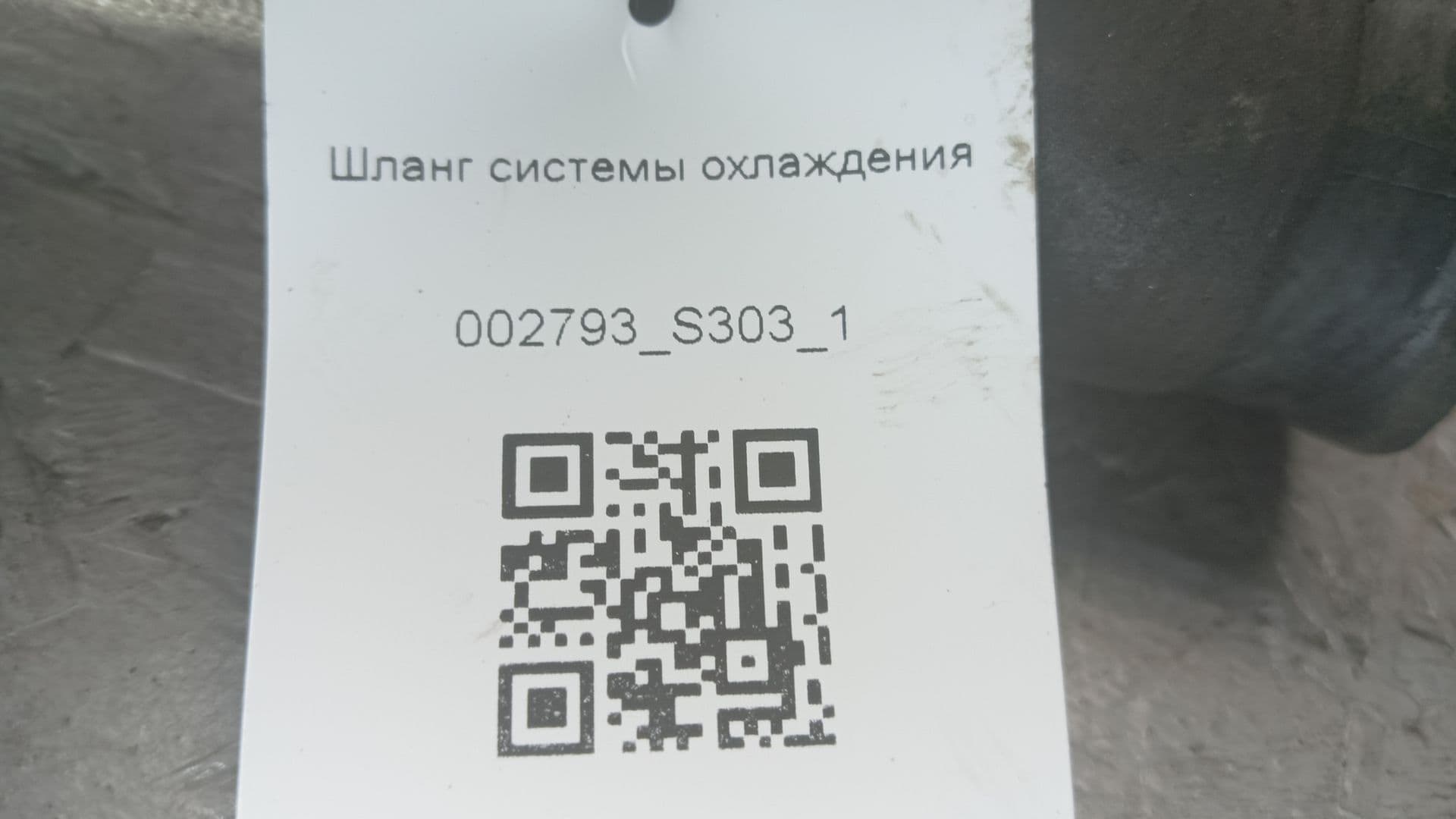 photo-3