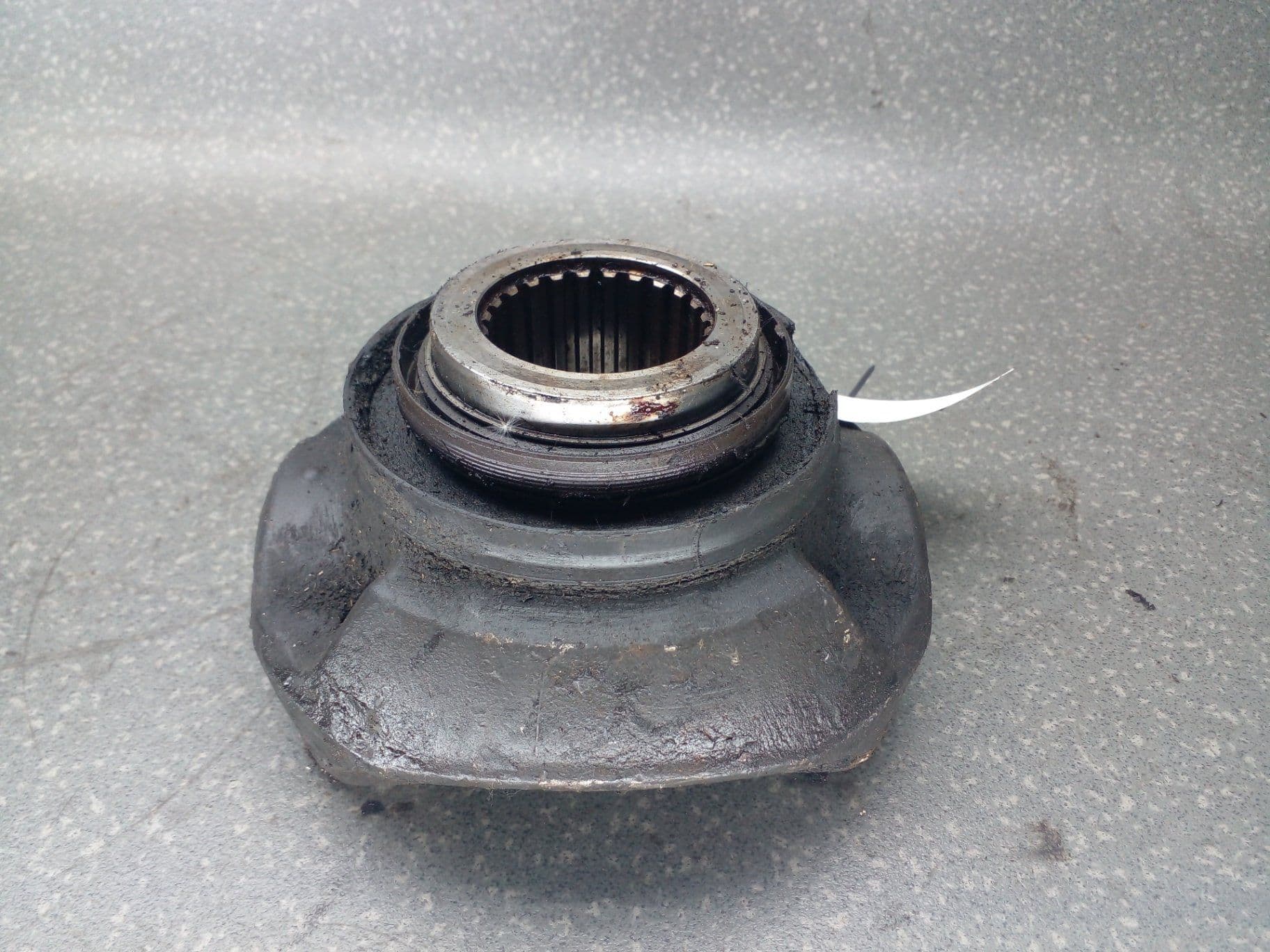 photo-1