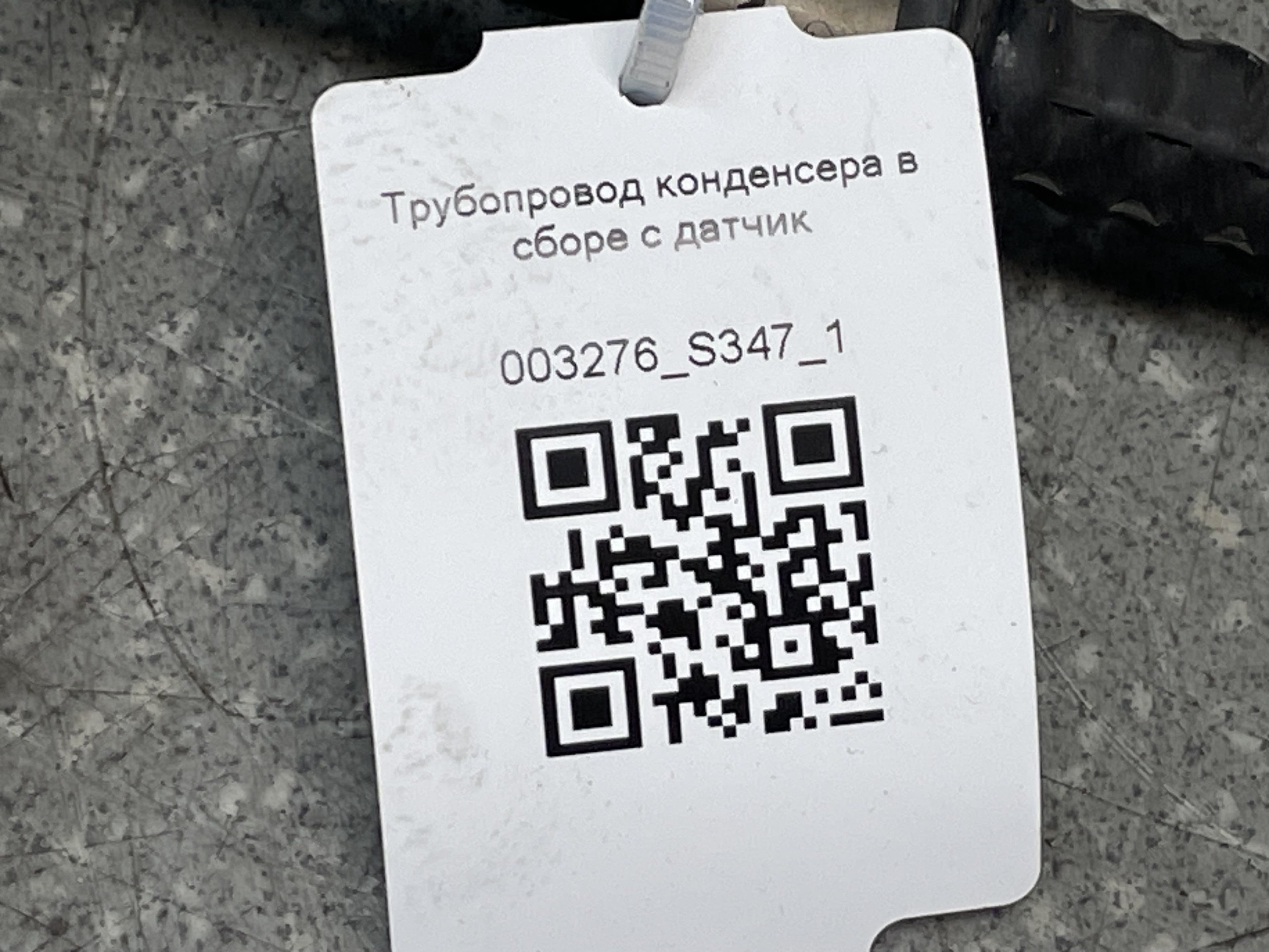 photo-6