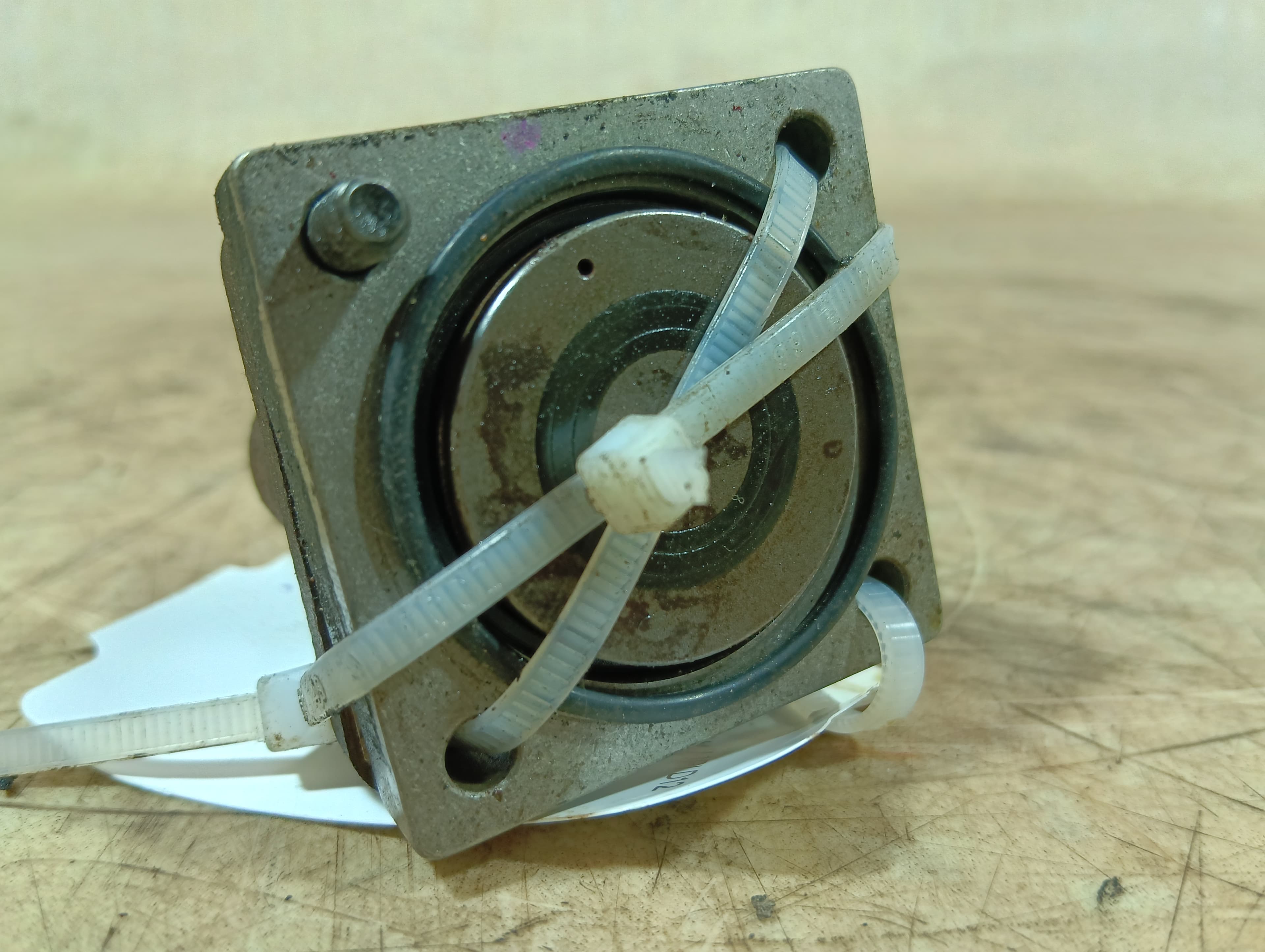 photo-1