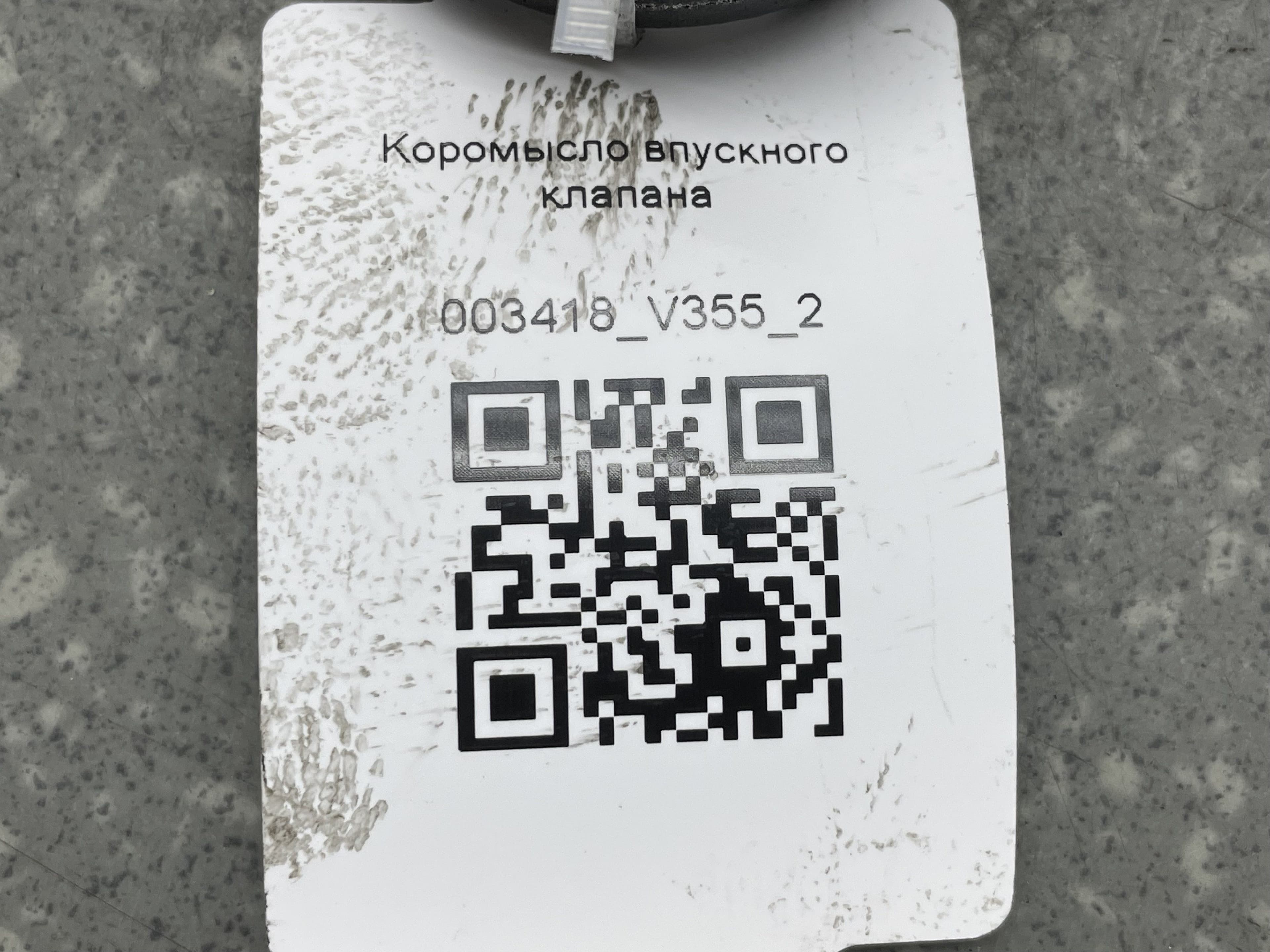photo-3
