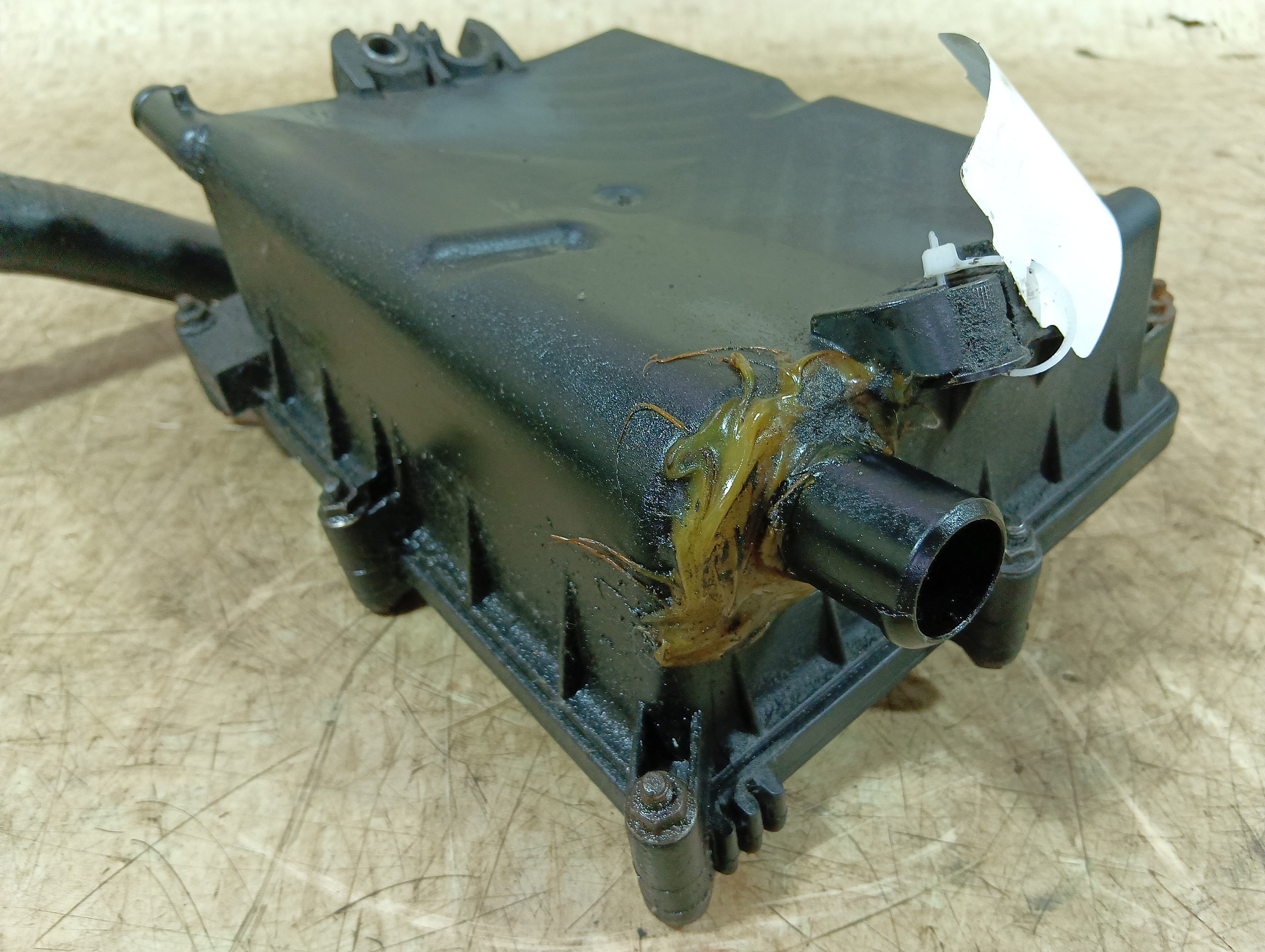 photo-1