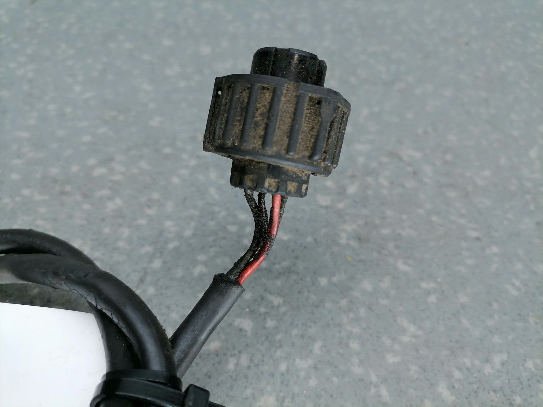 photo-2