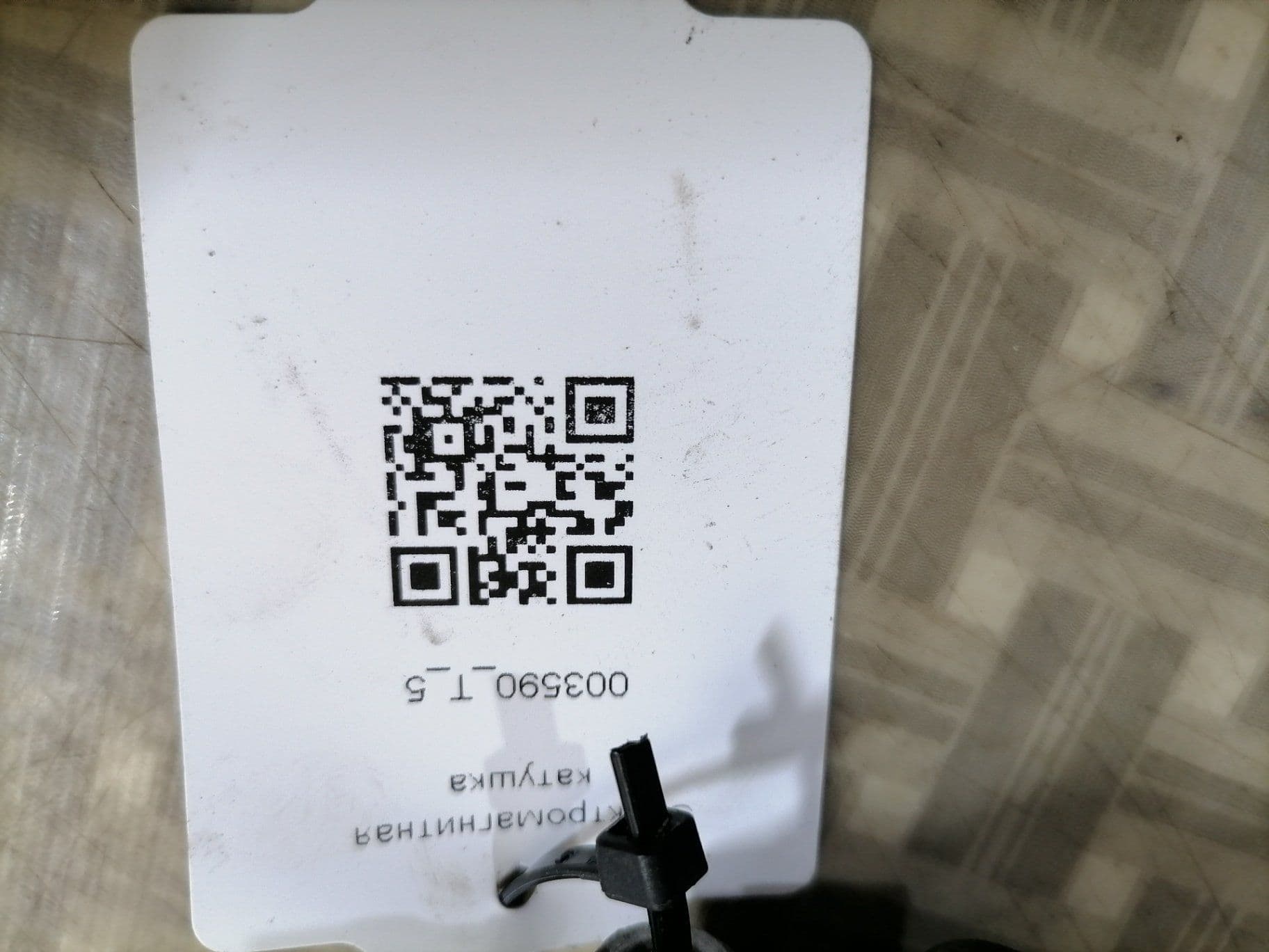 photo-2