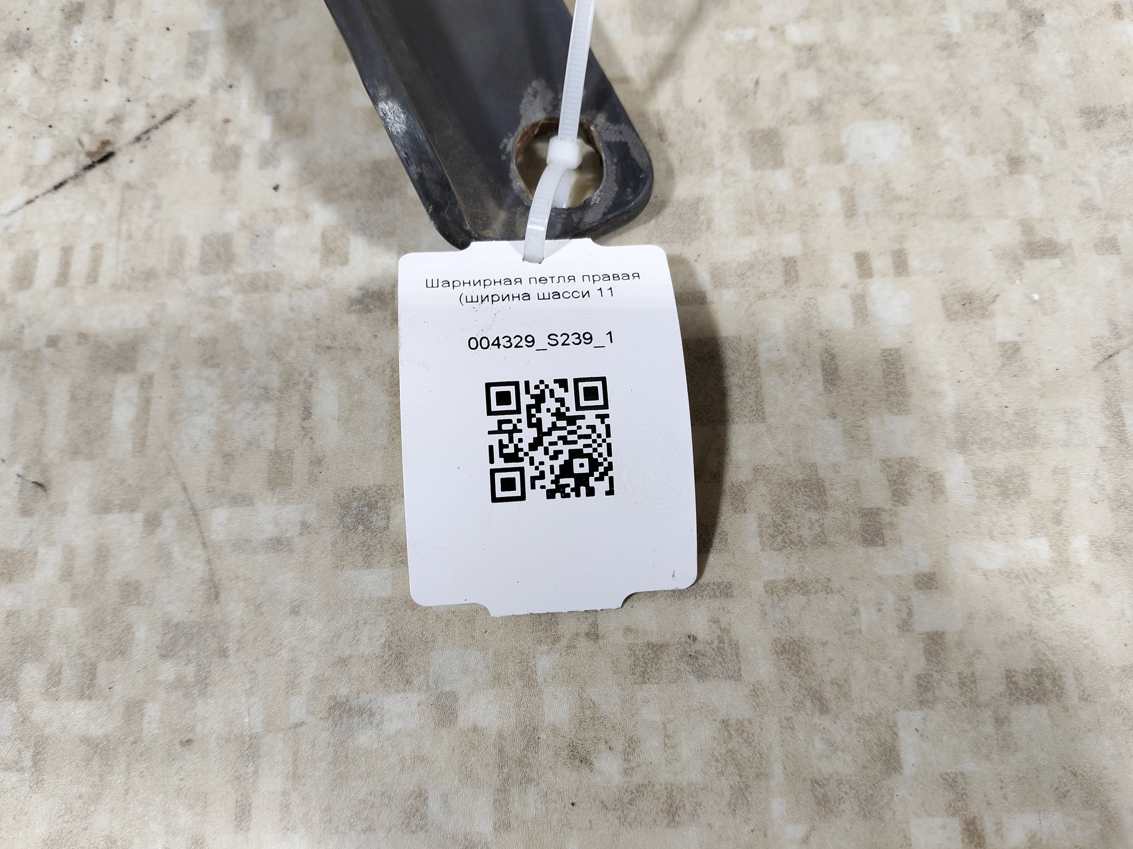 photo-1