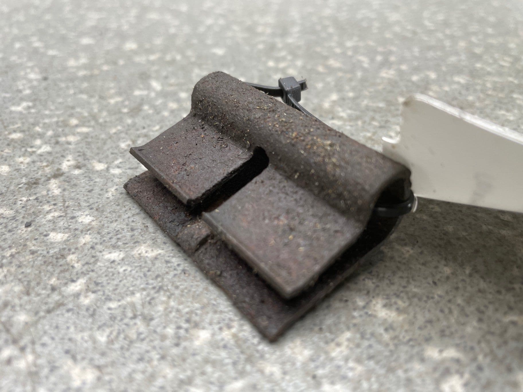 photo-3