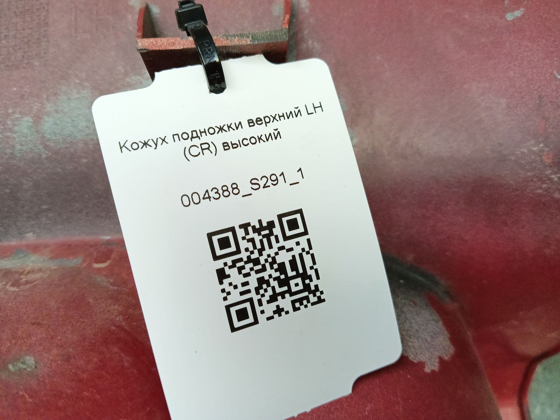 photo-6