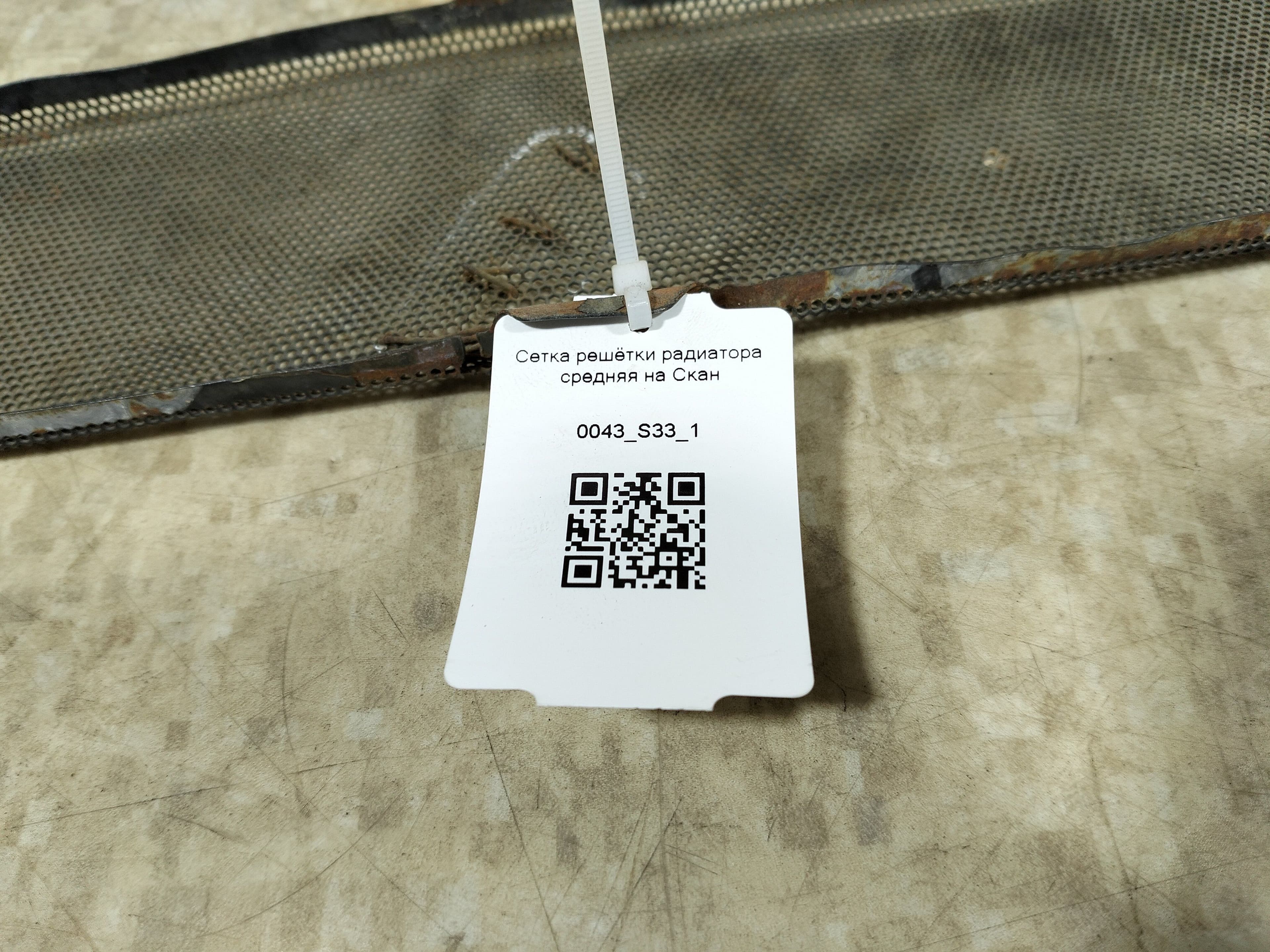 photo-1