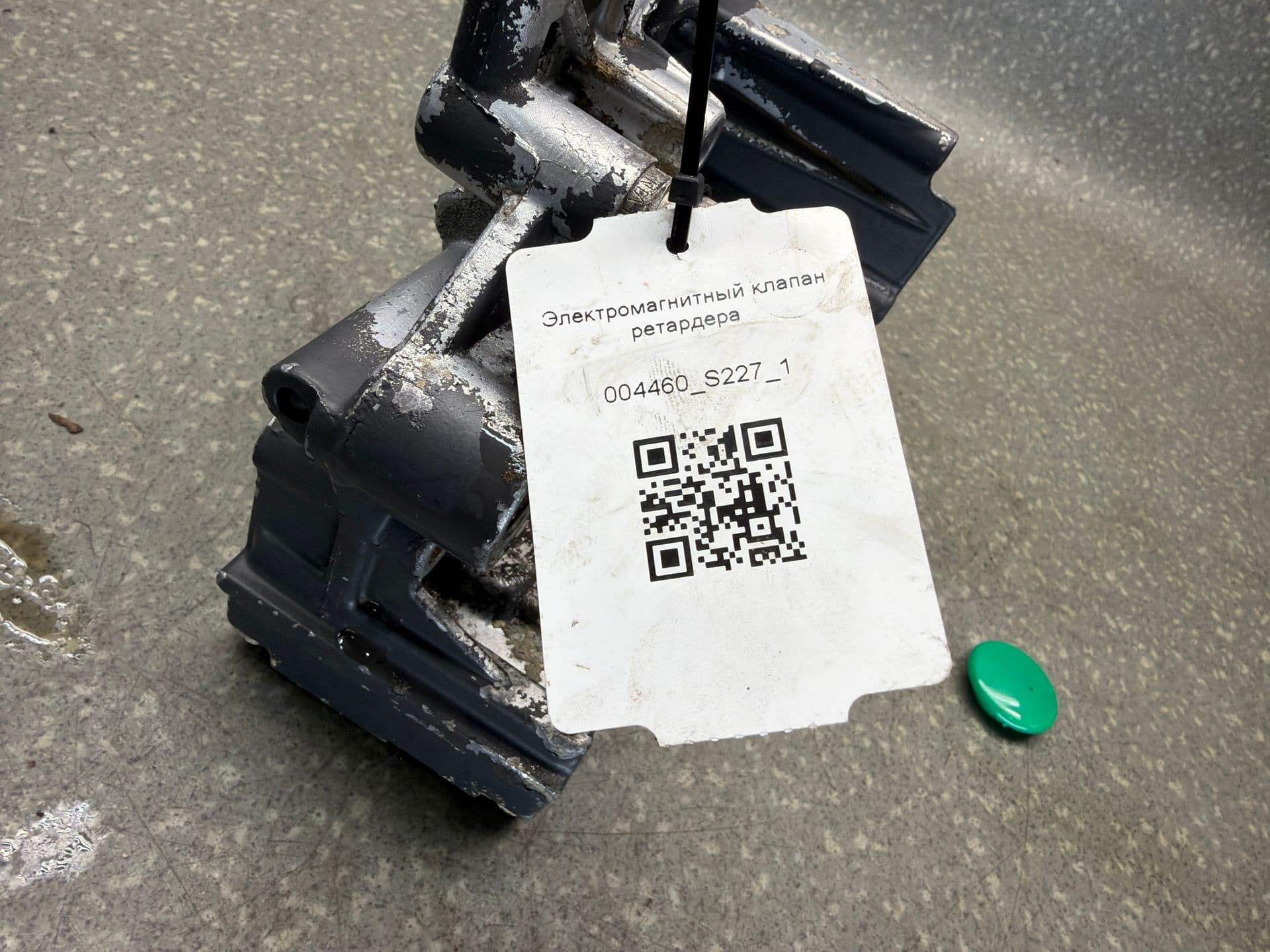 photo-3