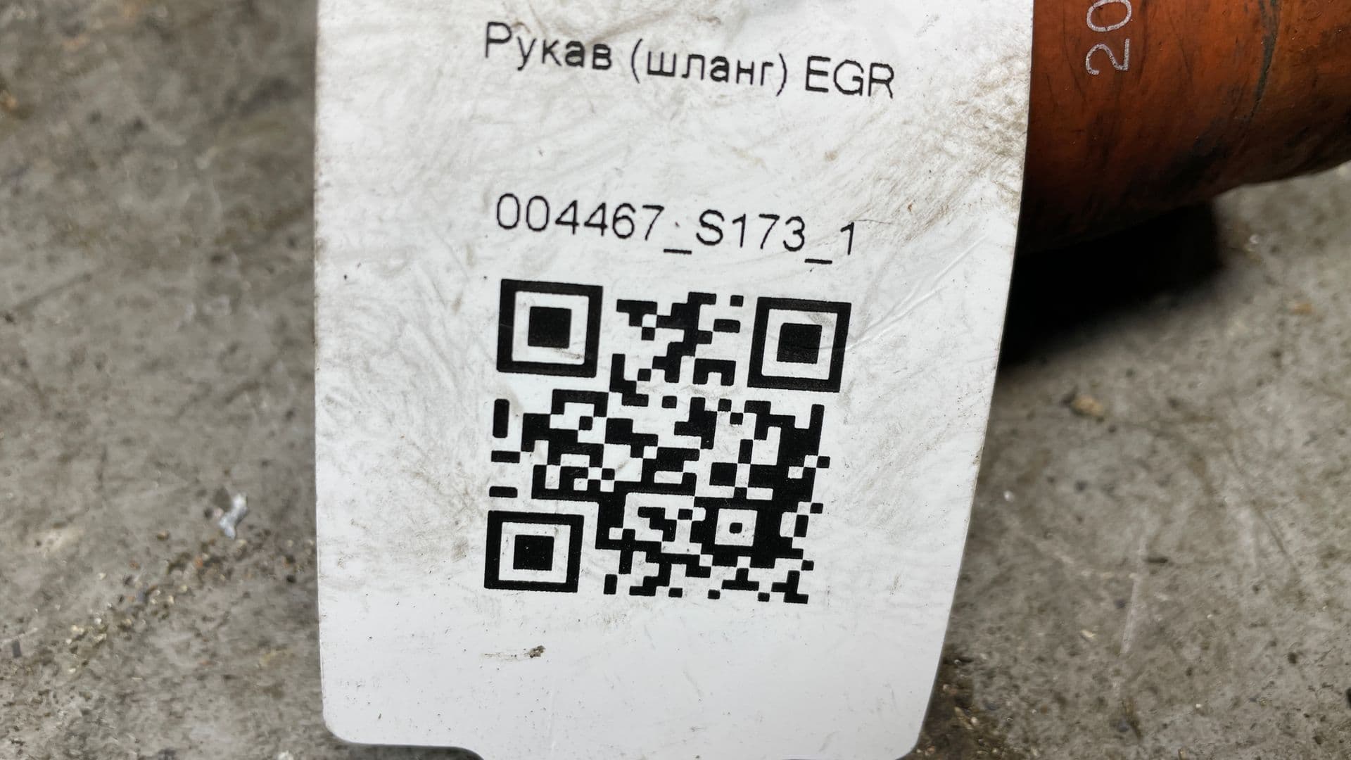 photo-3