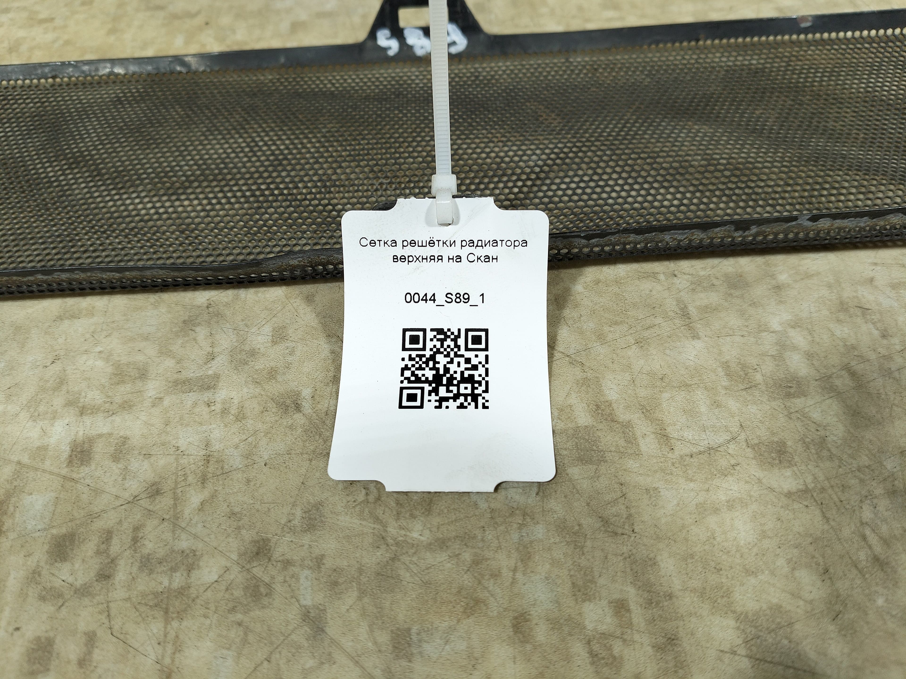 photo-1