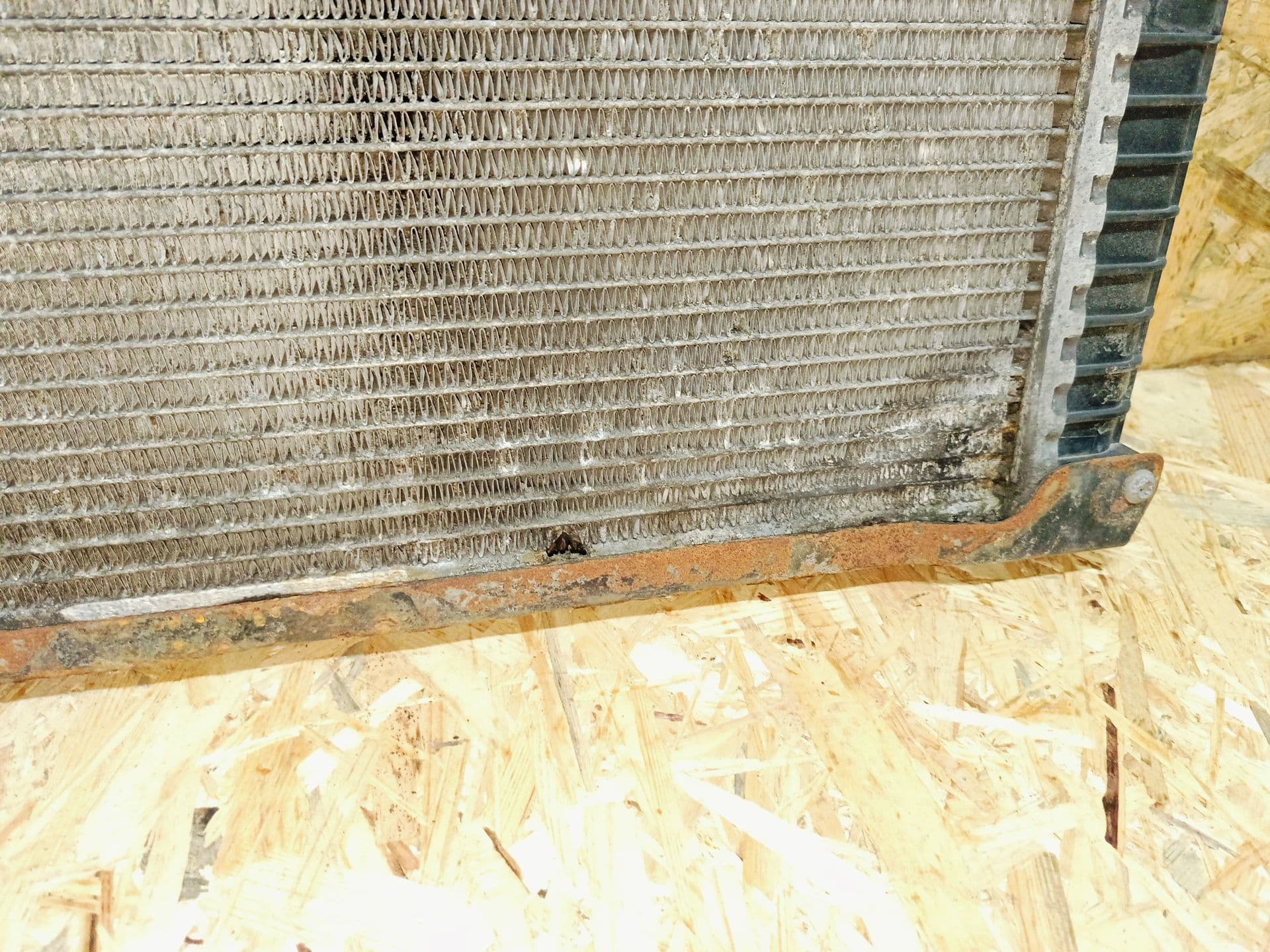 photo-3